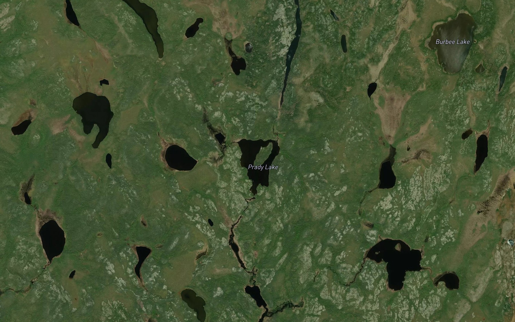 Satellite map of the Prady Lake