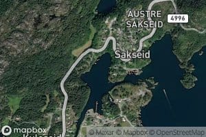 Sakseidpollen