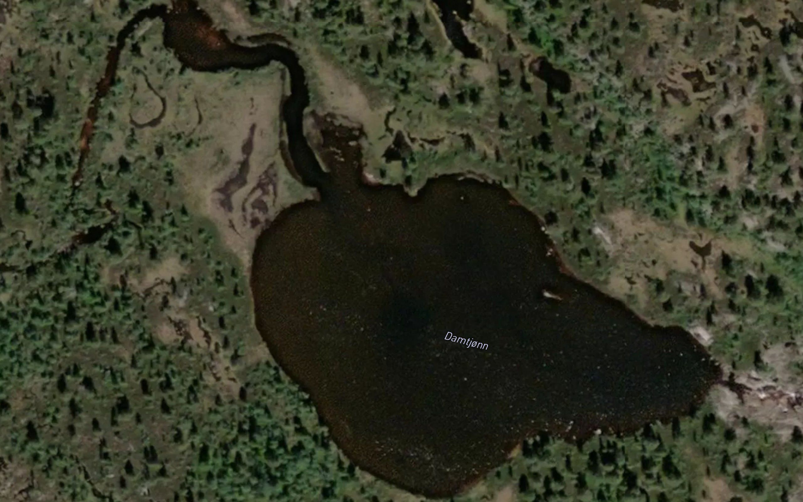 Damtjonn