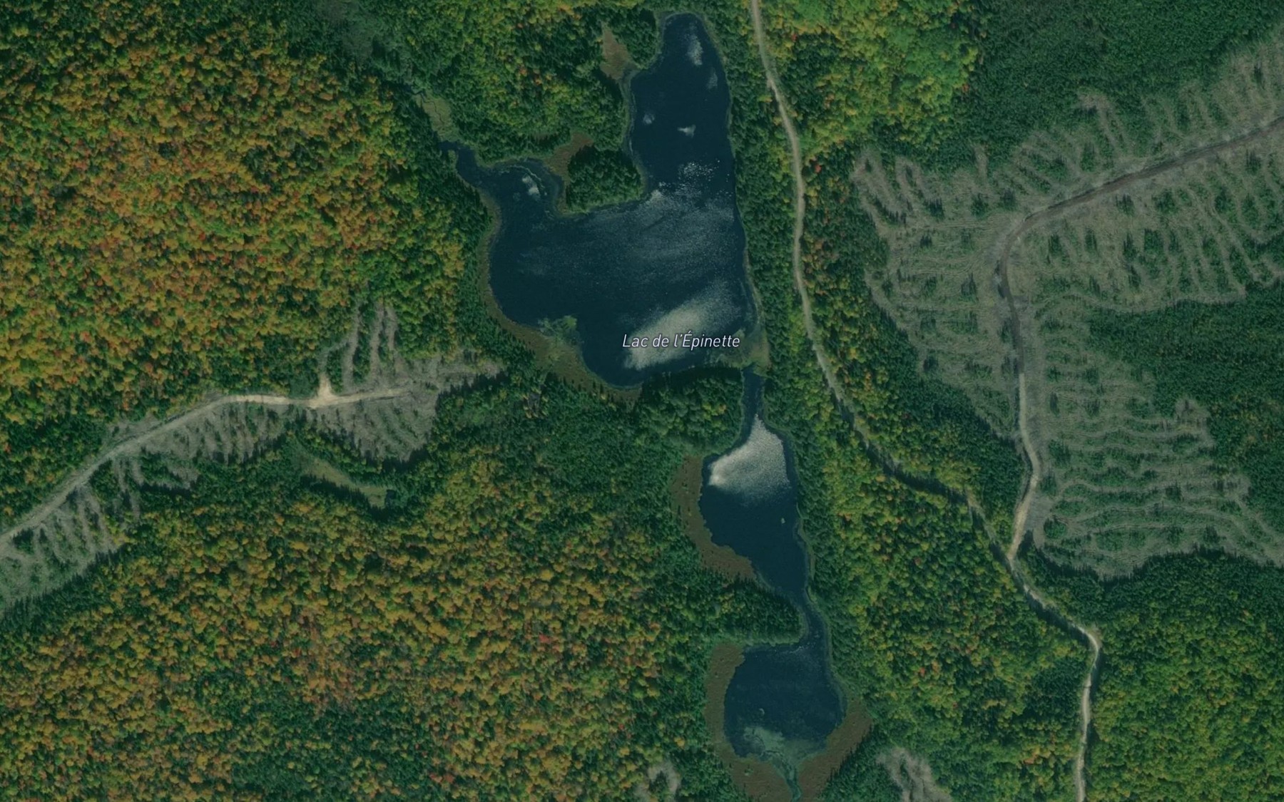 Satellite map of the Lac de l'Epinette