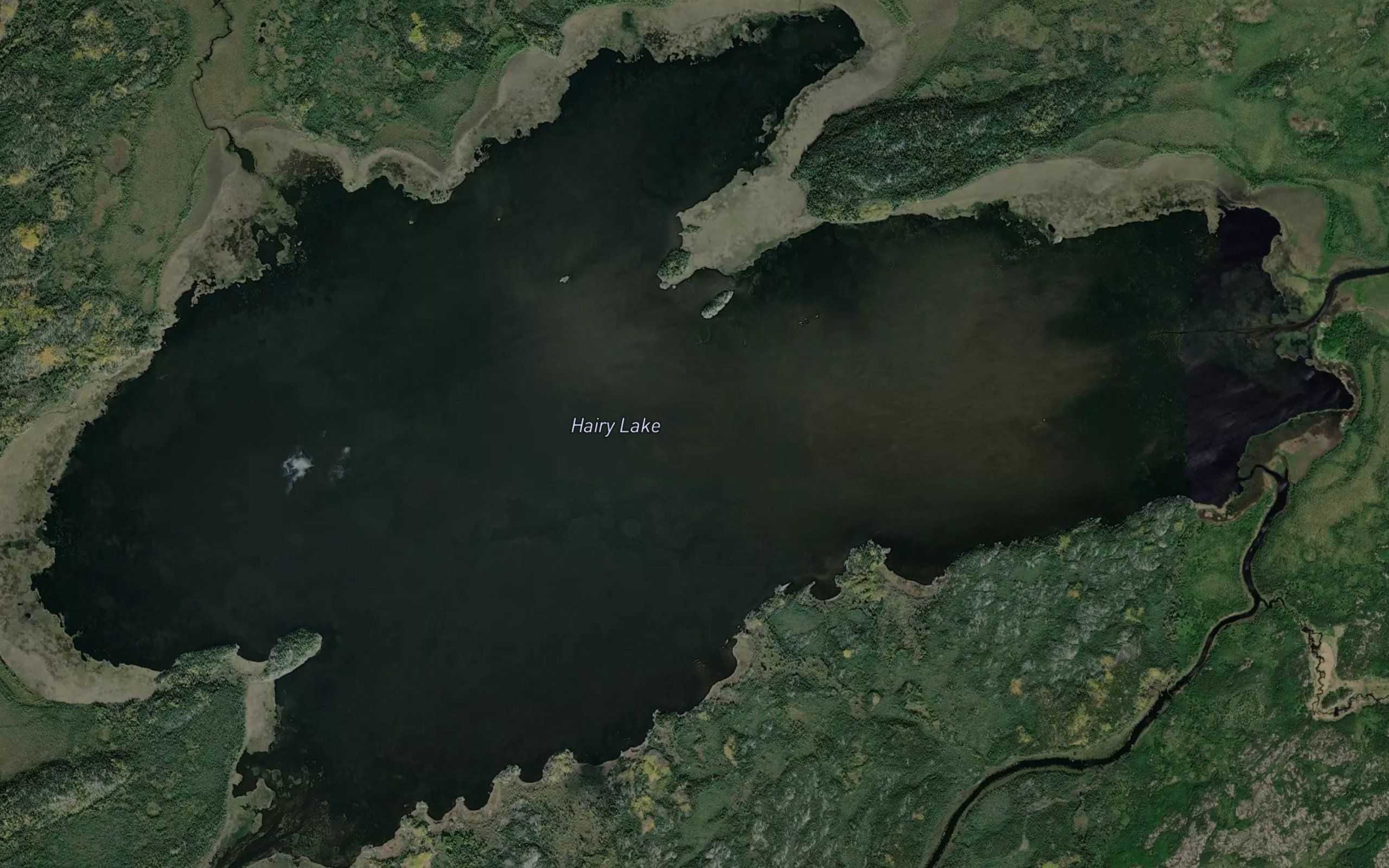 Hairy Lake