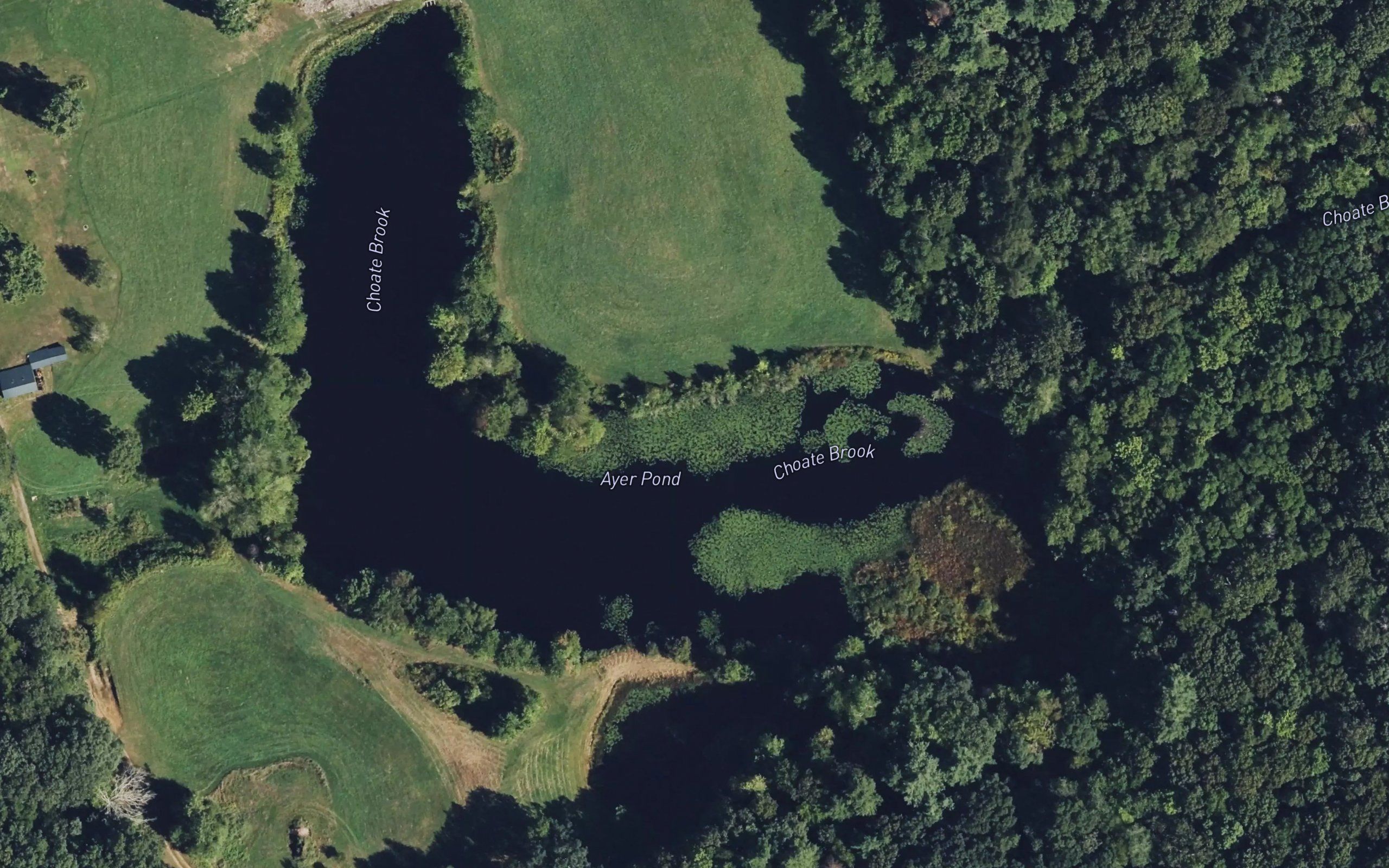 Ayer Pond