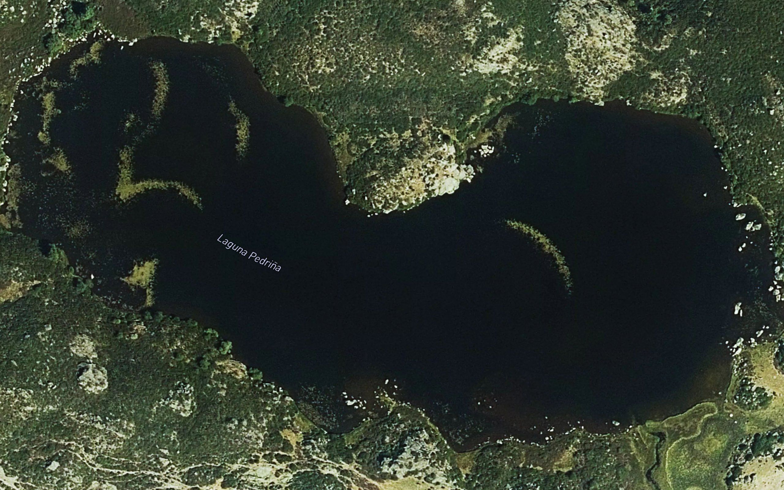 Laguna Pedrina
