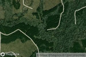 Little Beaver Dam Creek