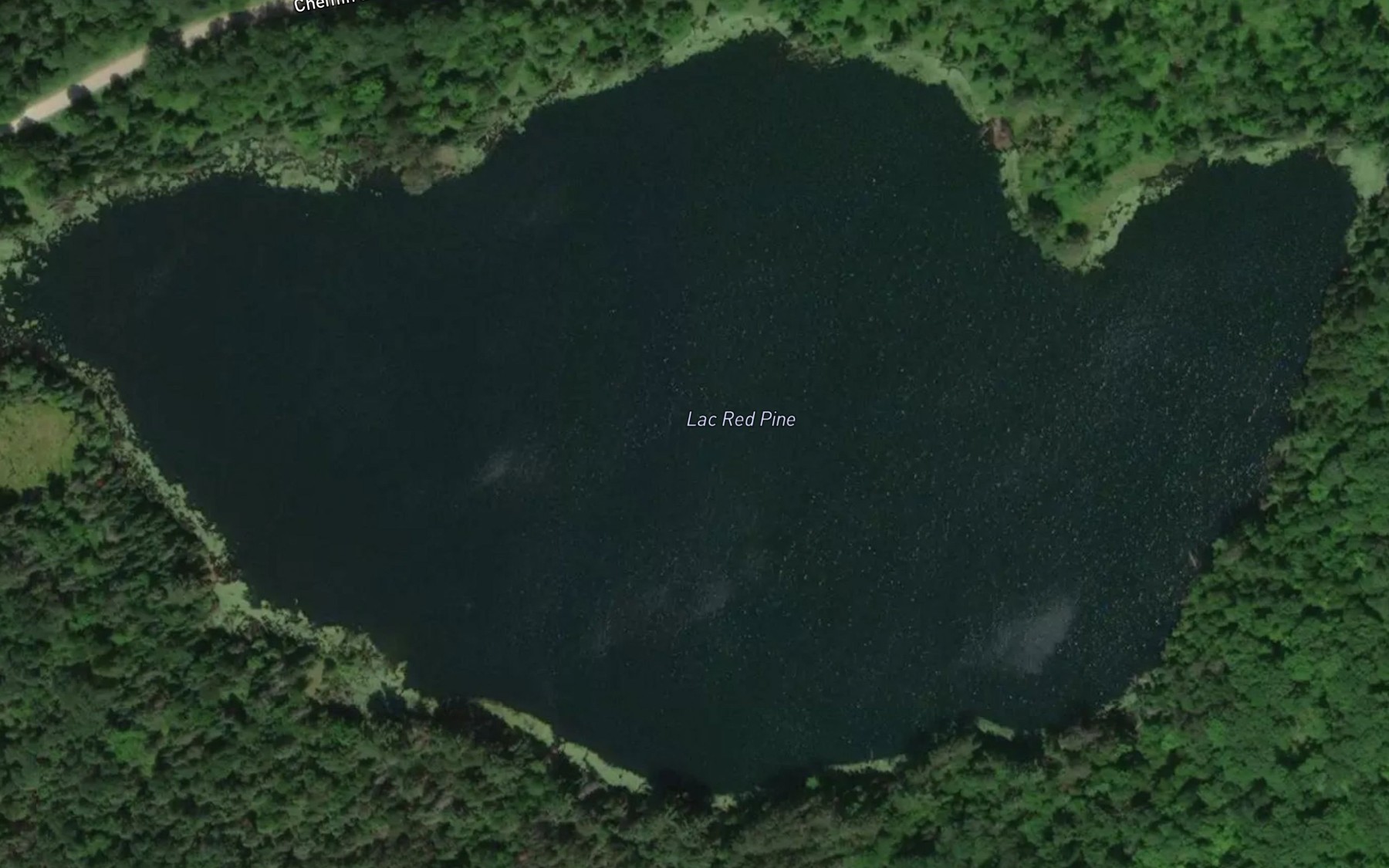 Satellite map of the Lac Red Pine
