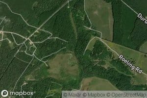Mayhaw Slough