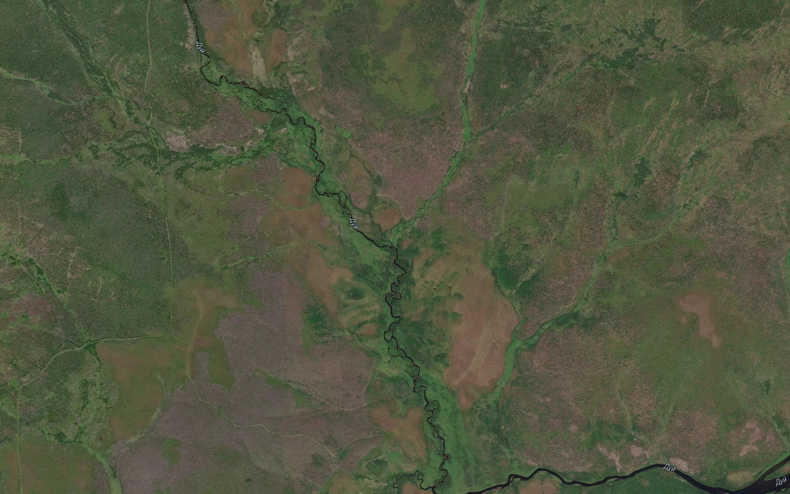 Ivashkin