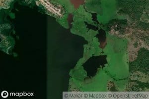 Rincon de Chinchilla