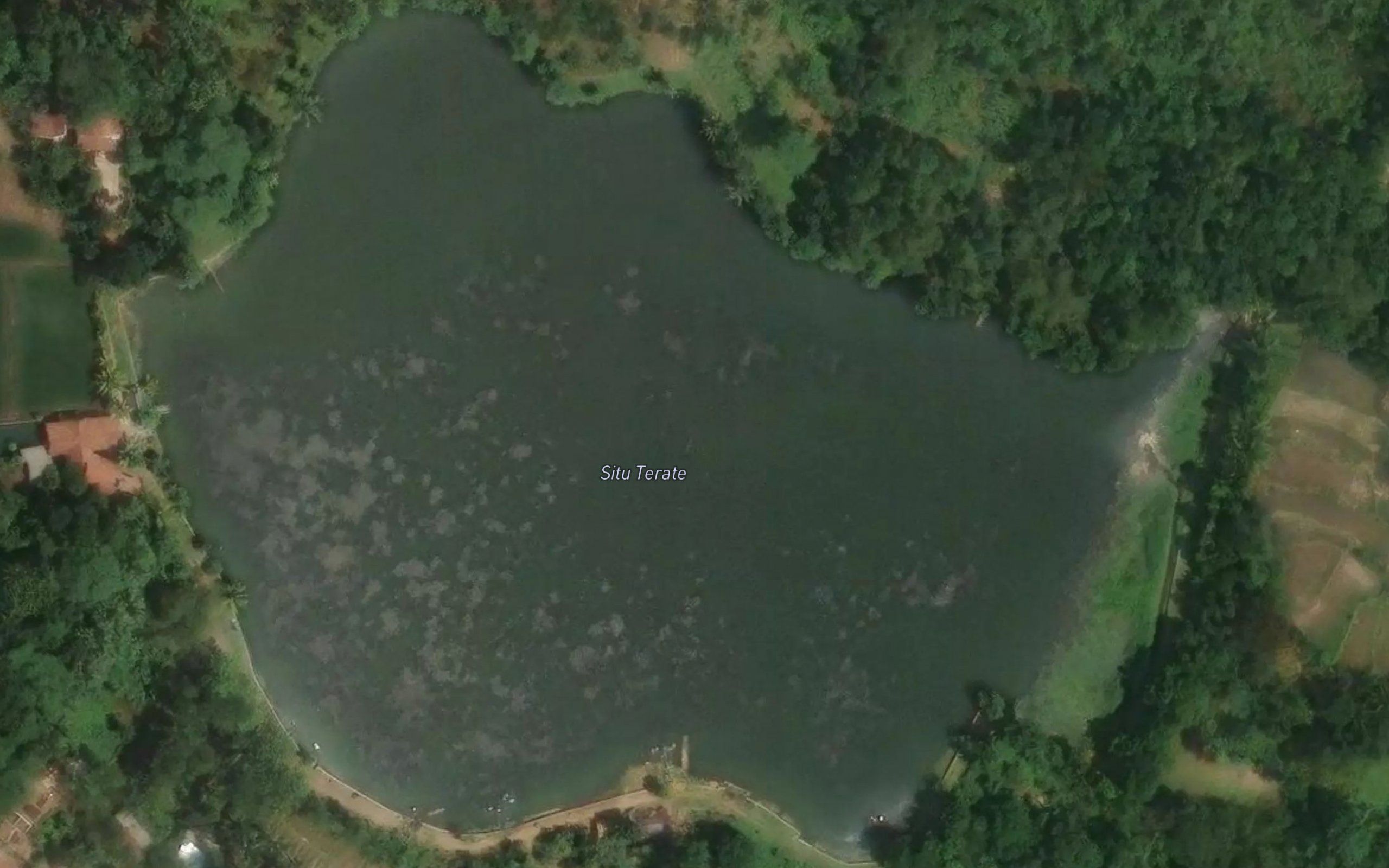 Situ Manceuri