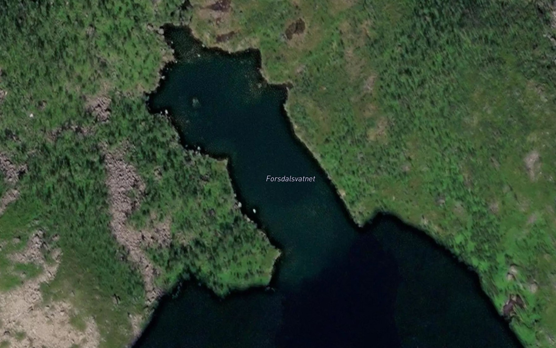 Satellite map of the Forsdalsvatnet