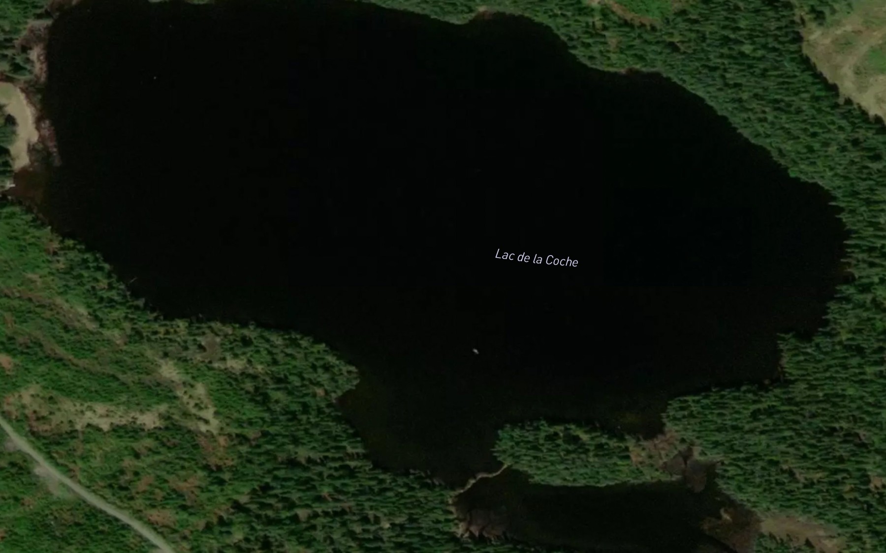 Satellite map of the Lac de la Coche