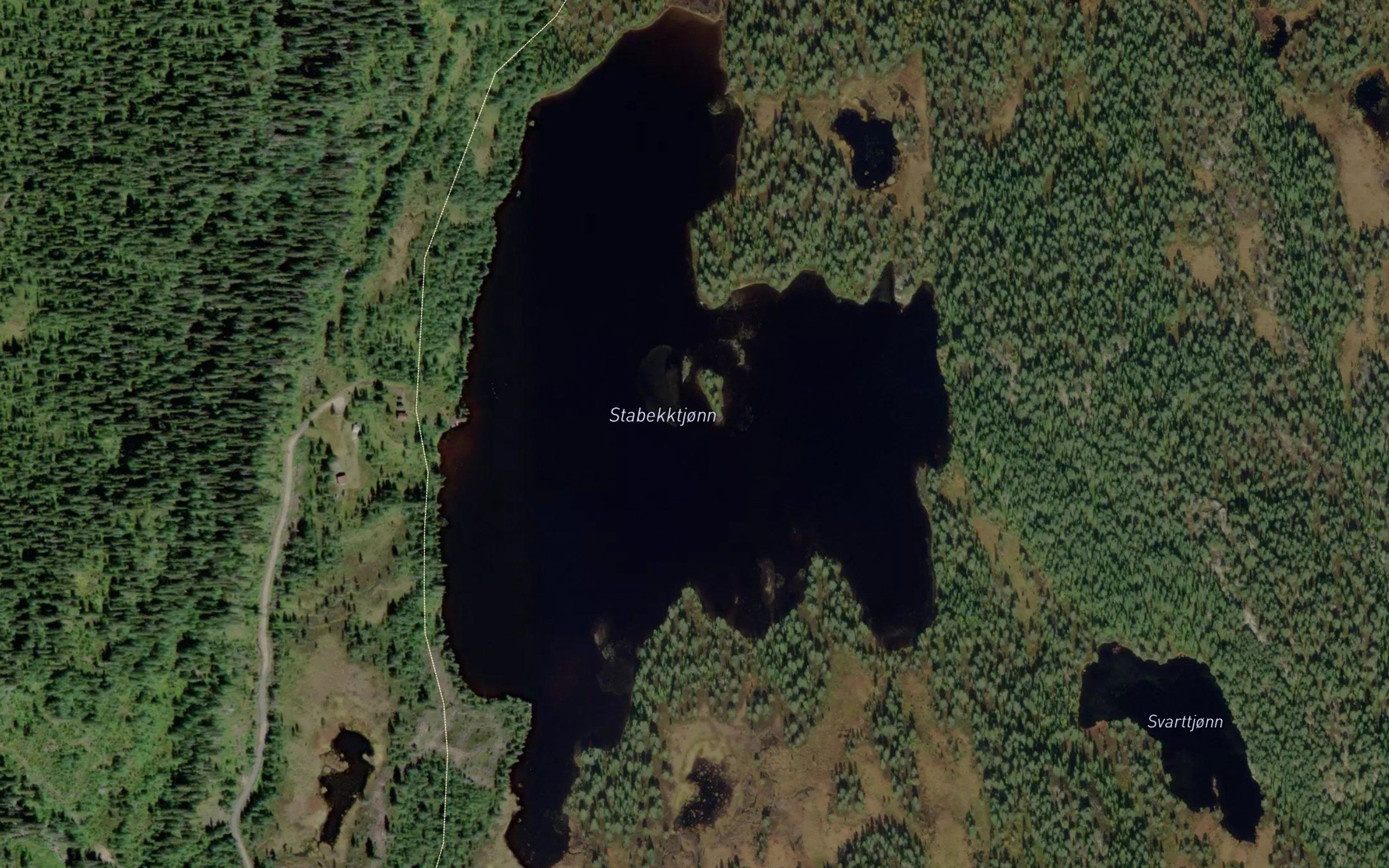 Stabekktjorni