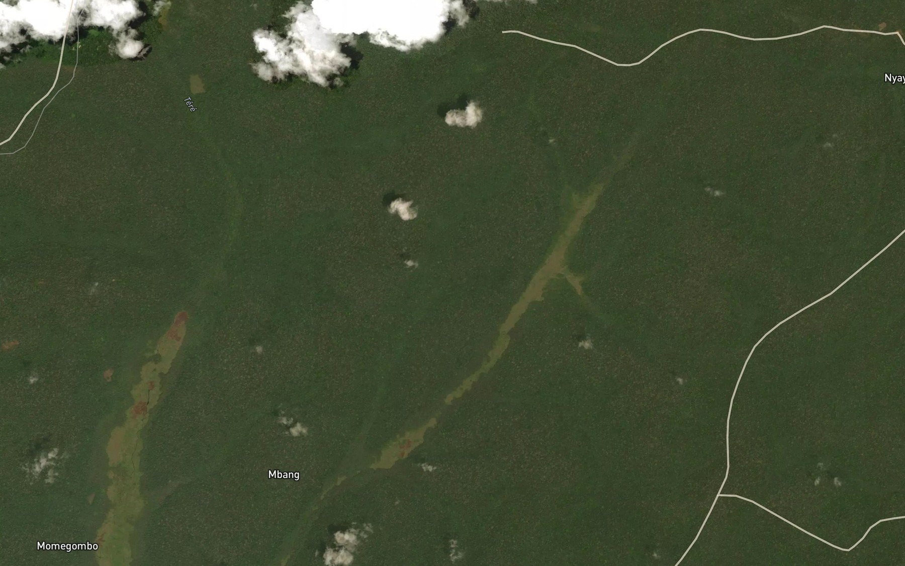 Satellite map of the Ngousso