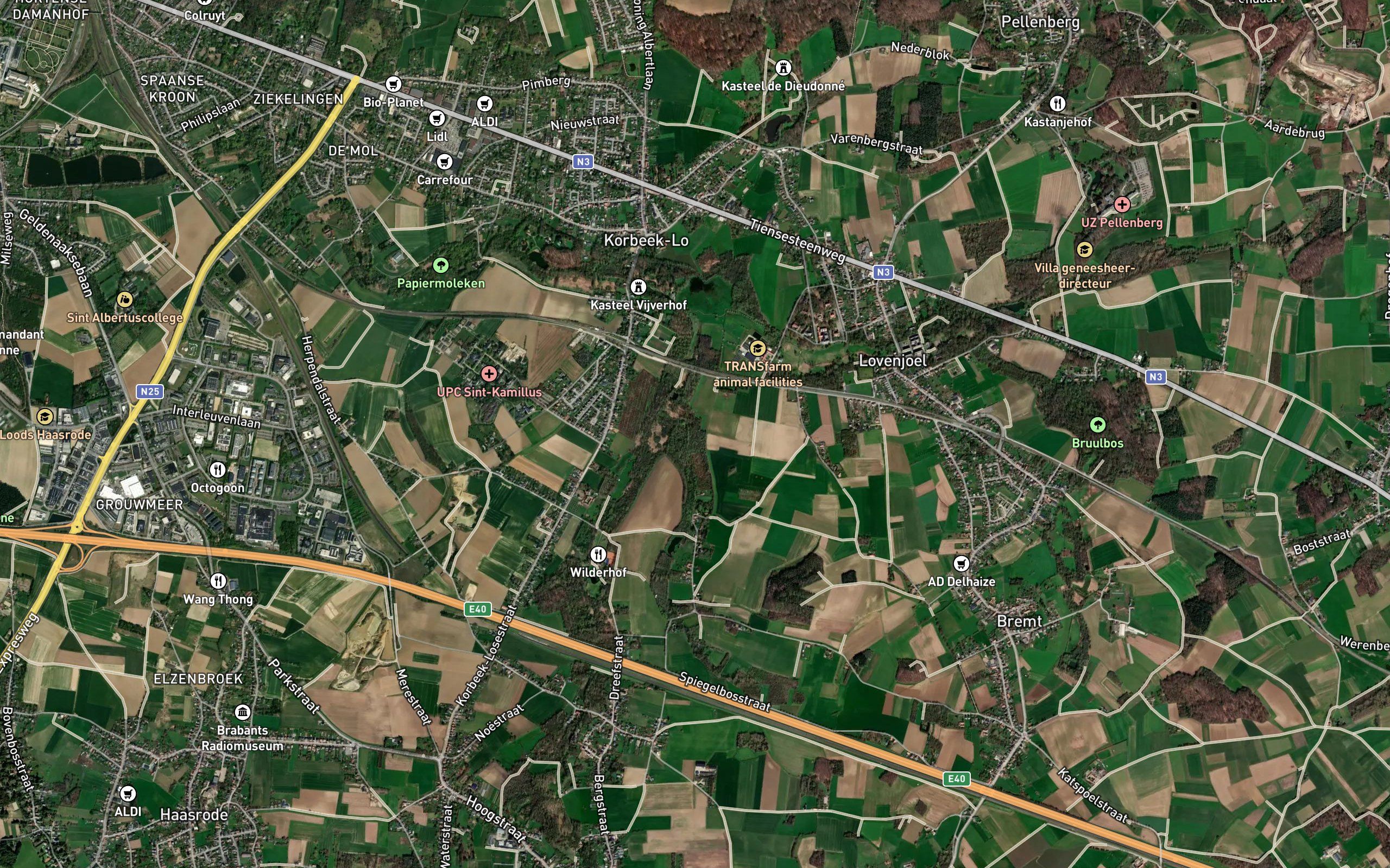 Bruulbeek