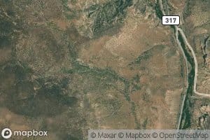 Flying Machine Spring