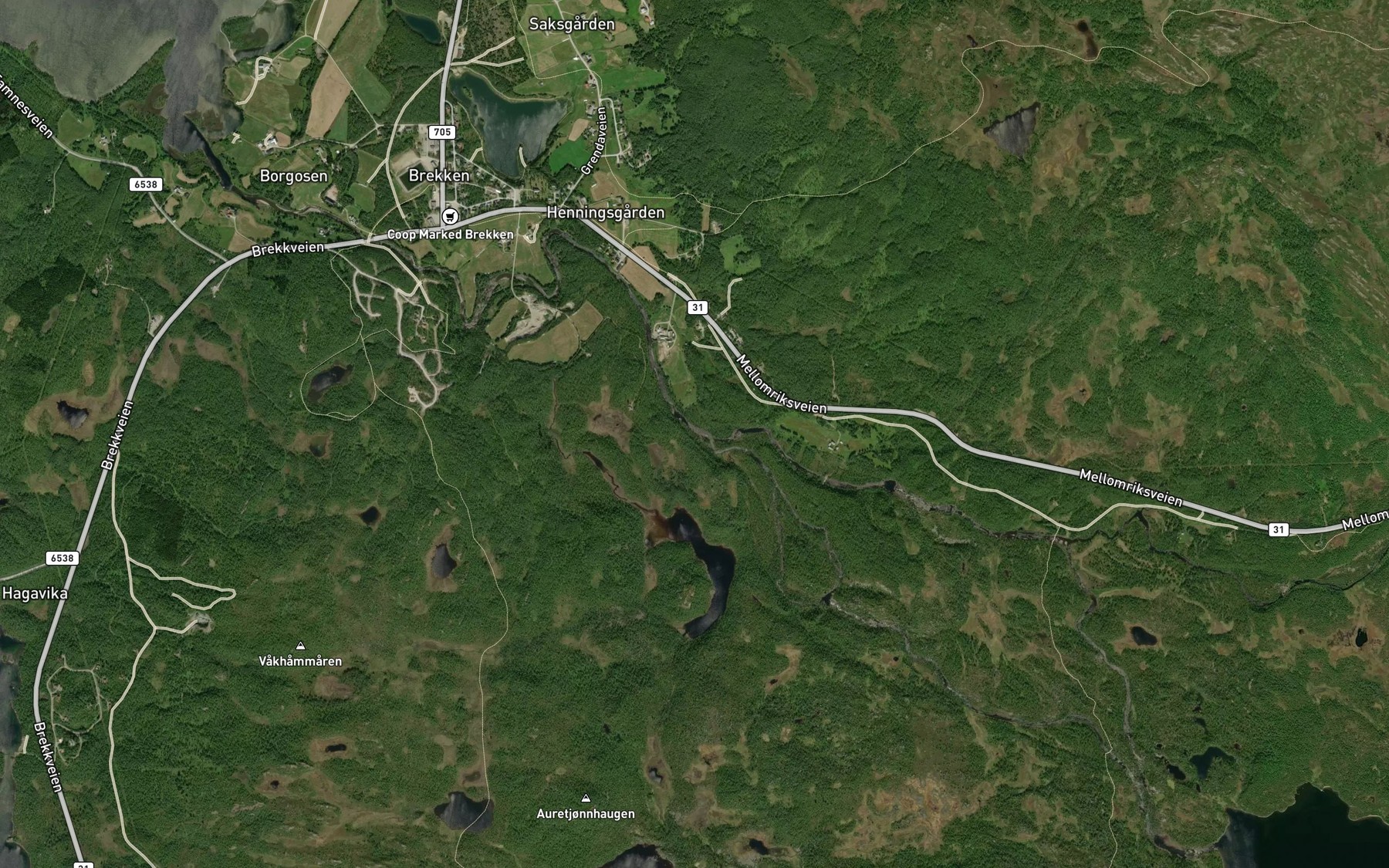 Satellite map of the Borga