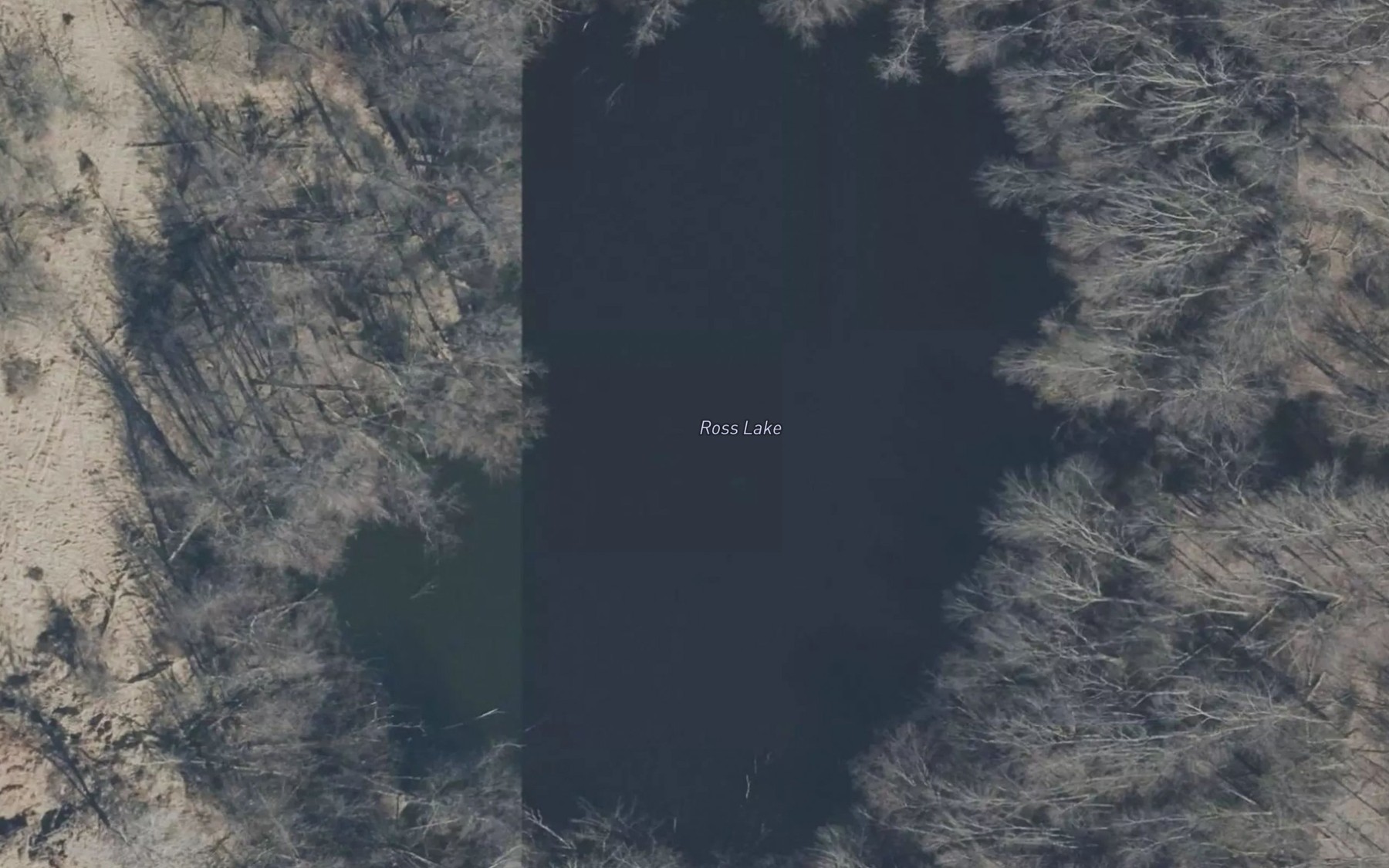 Satellite map of the Ross Lake