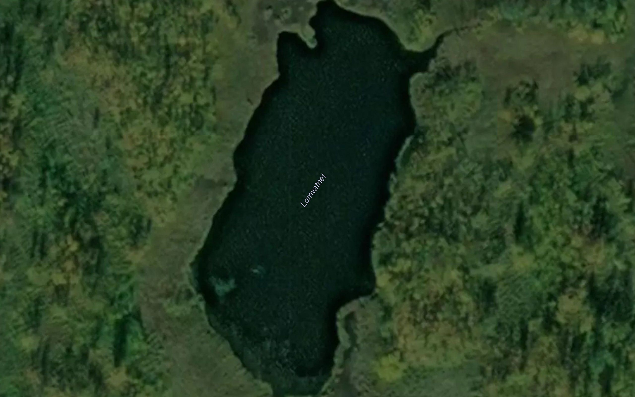 Lomvannet