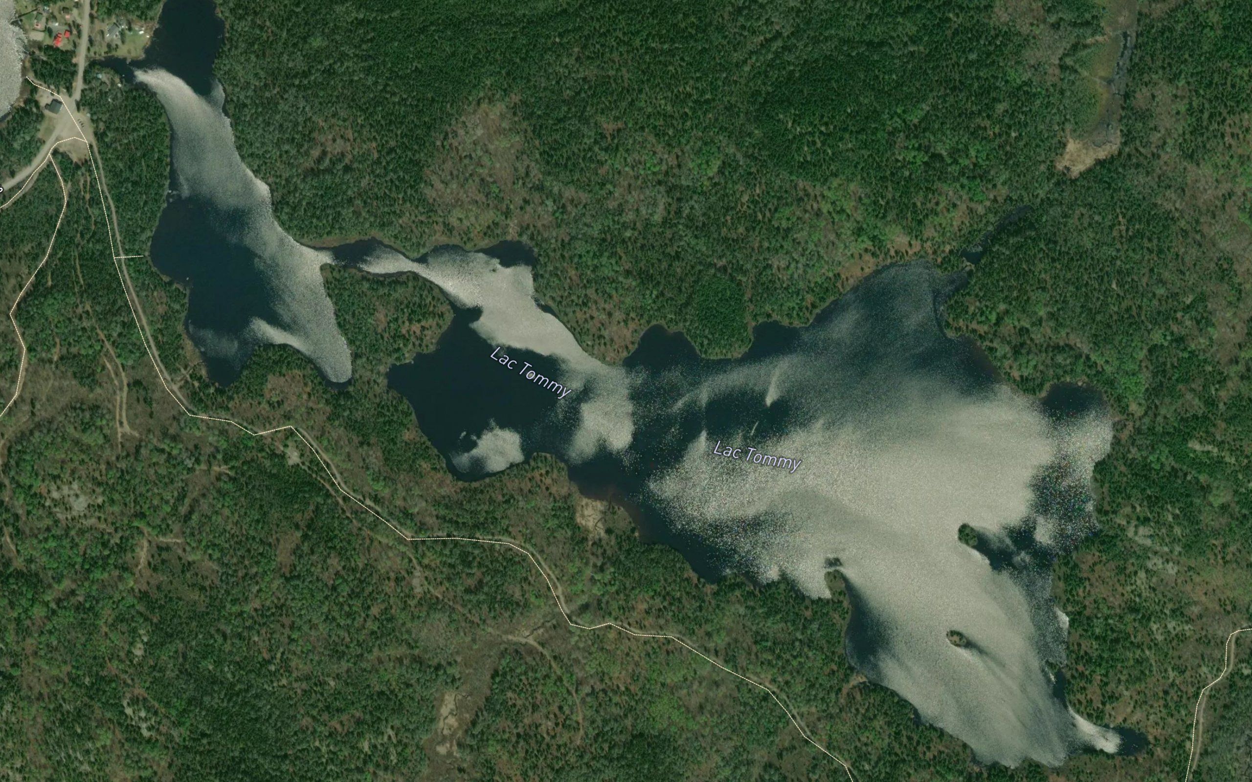 Lac Tommy