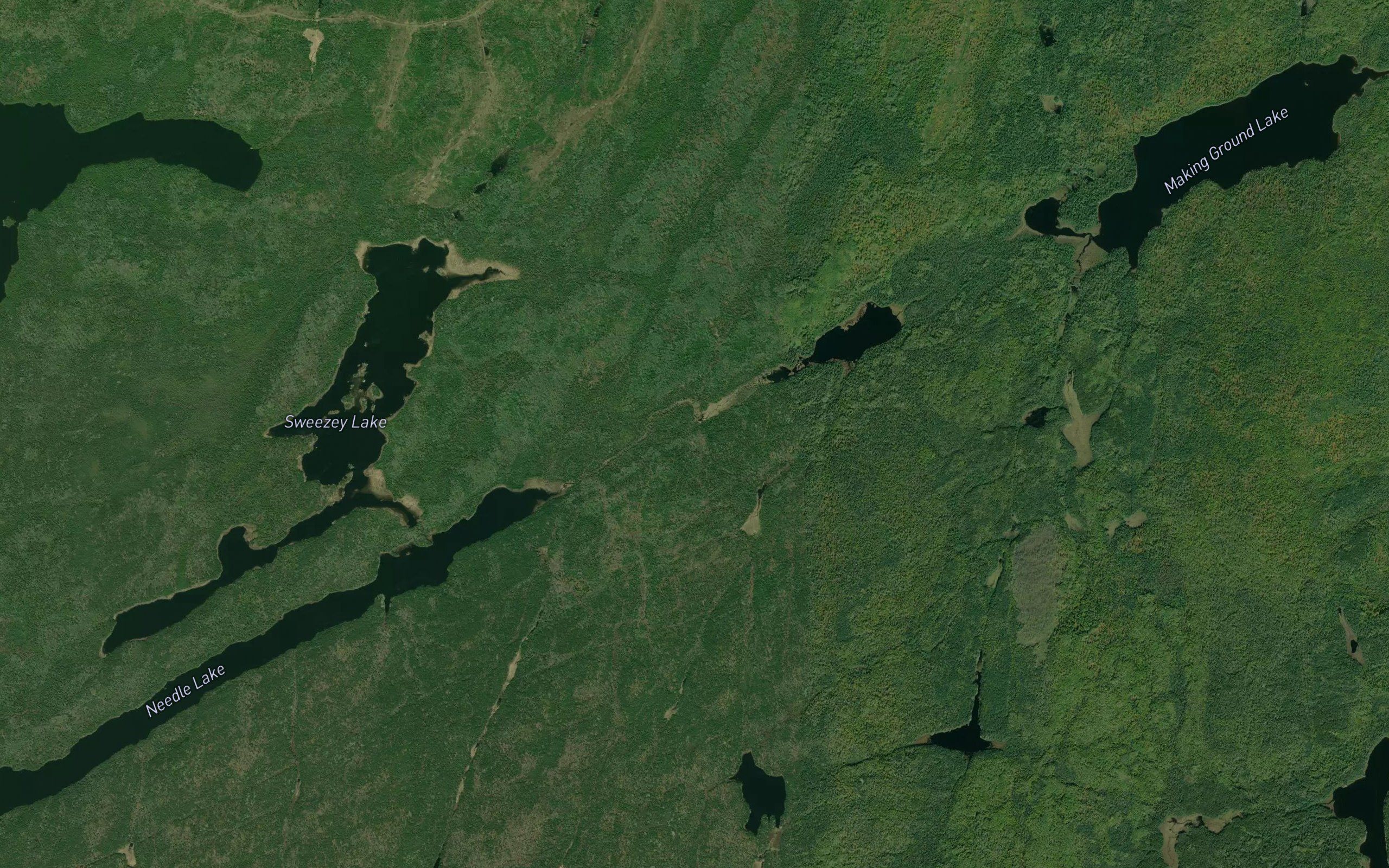 Sperm Creek