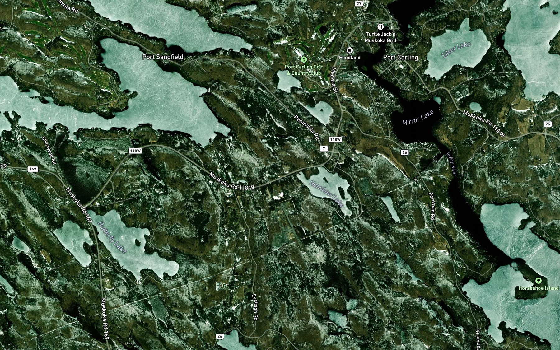 Satellite map of the Henshaw Creek