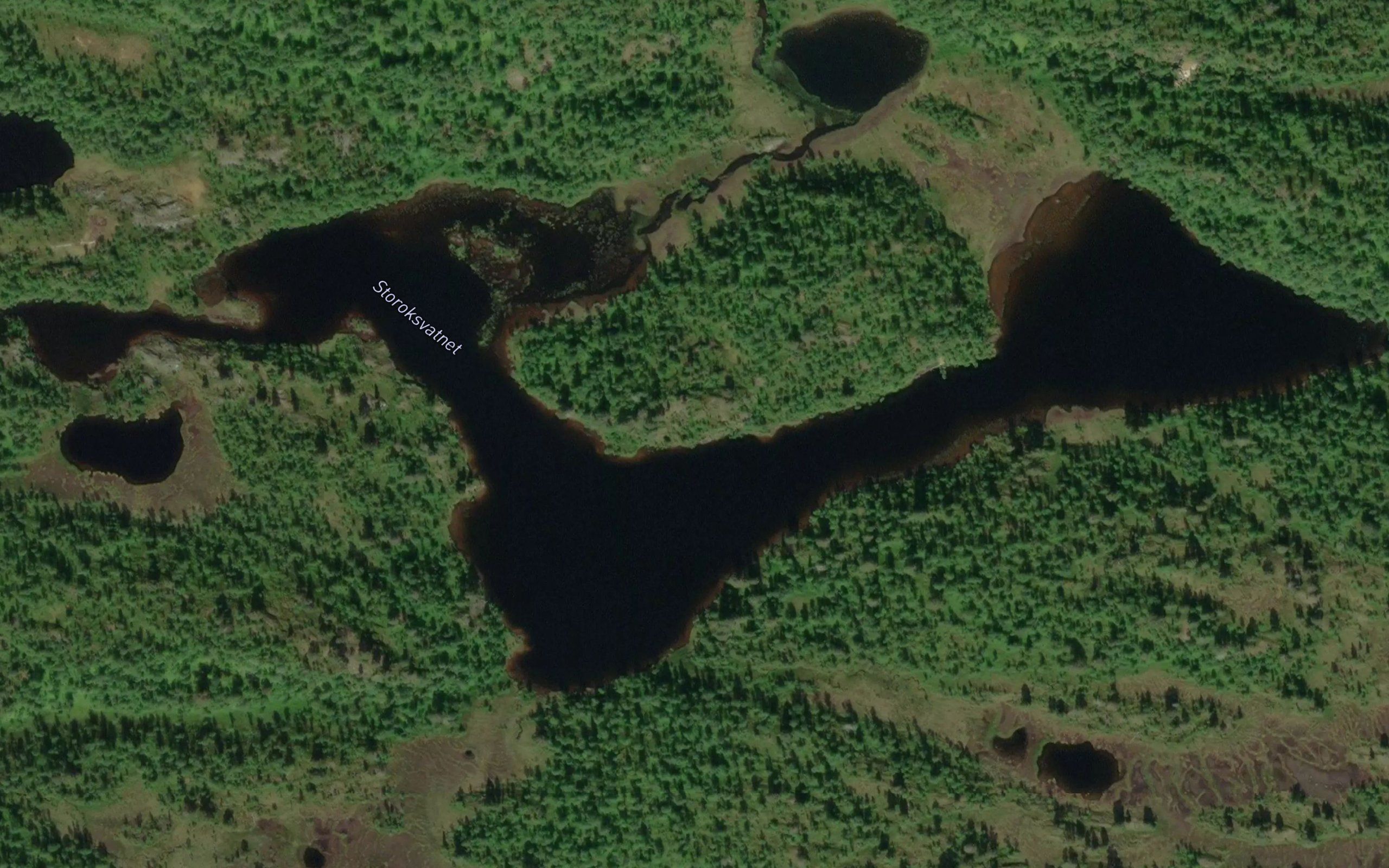Storoksvatnet