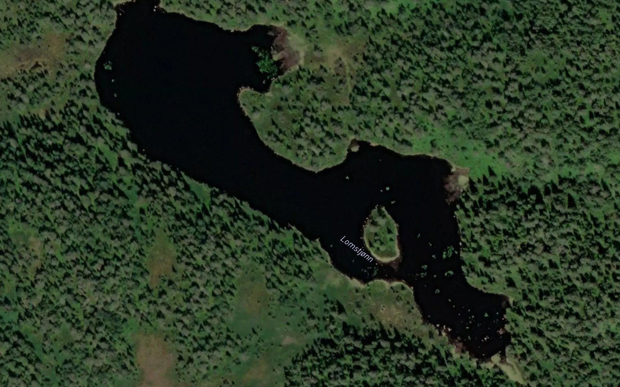 Lomstjorn