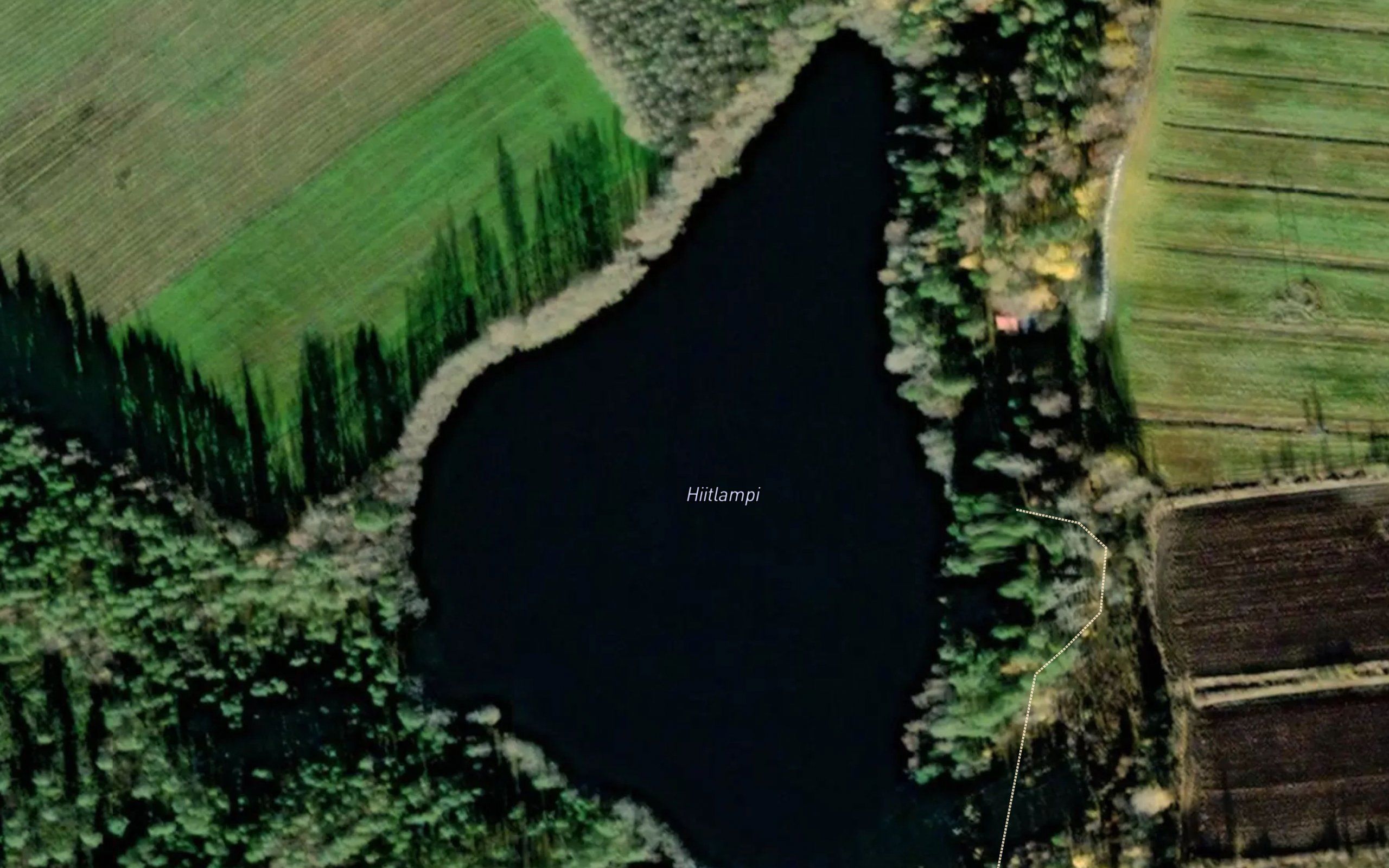 Tollinmaenlampi