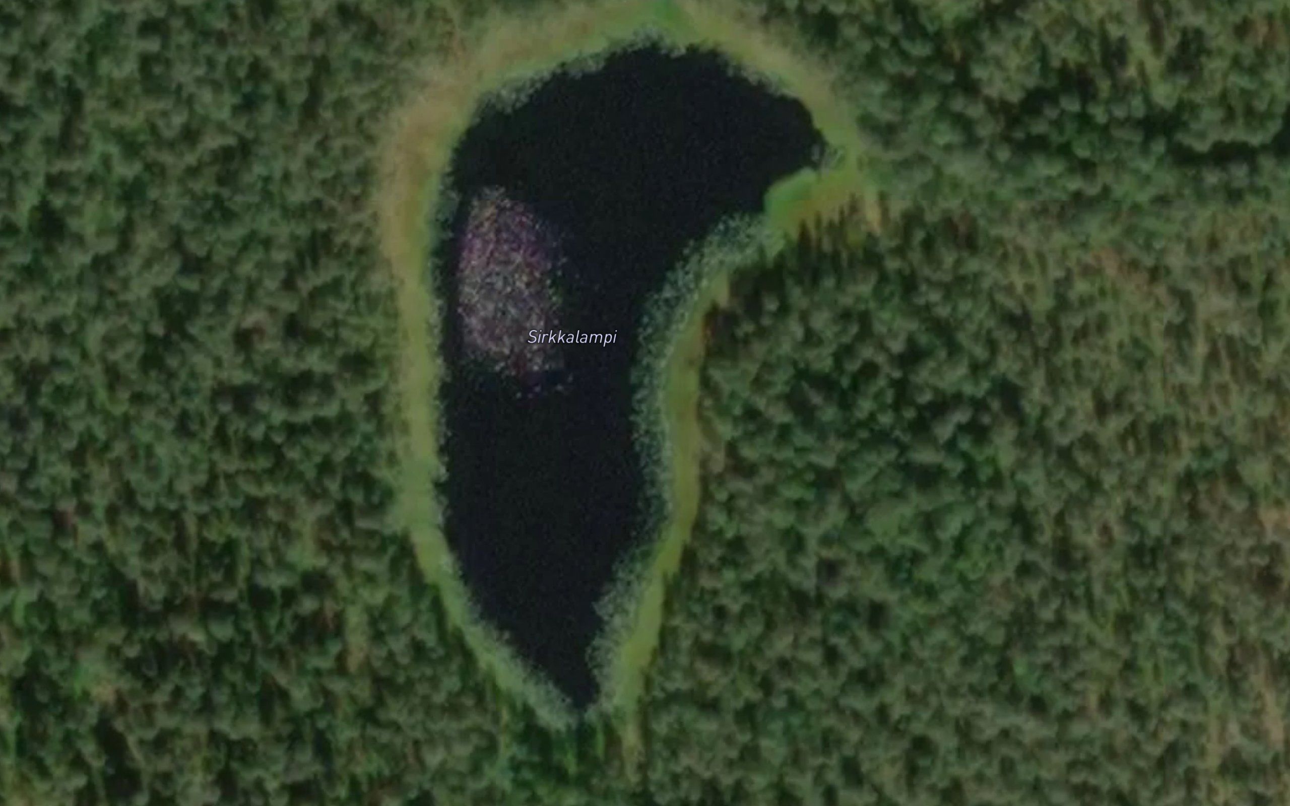 Sirkkalampi