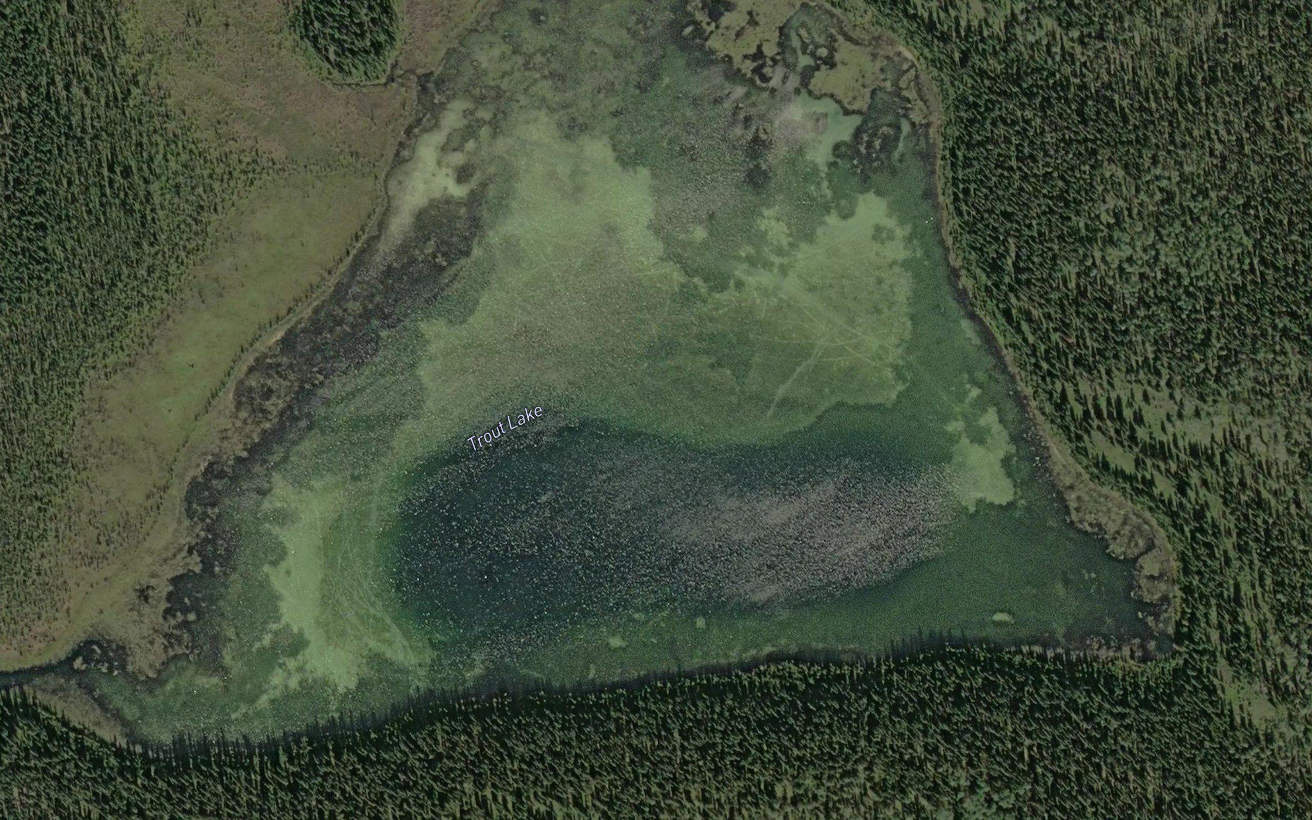 Trout Lake