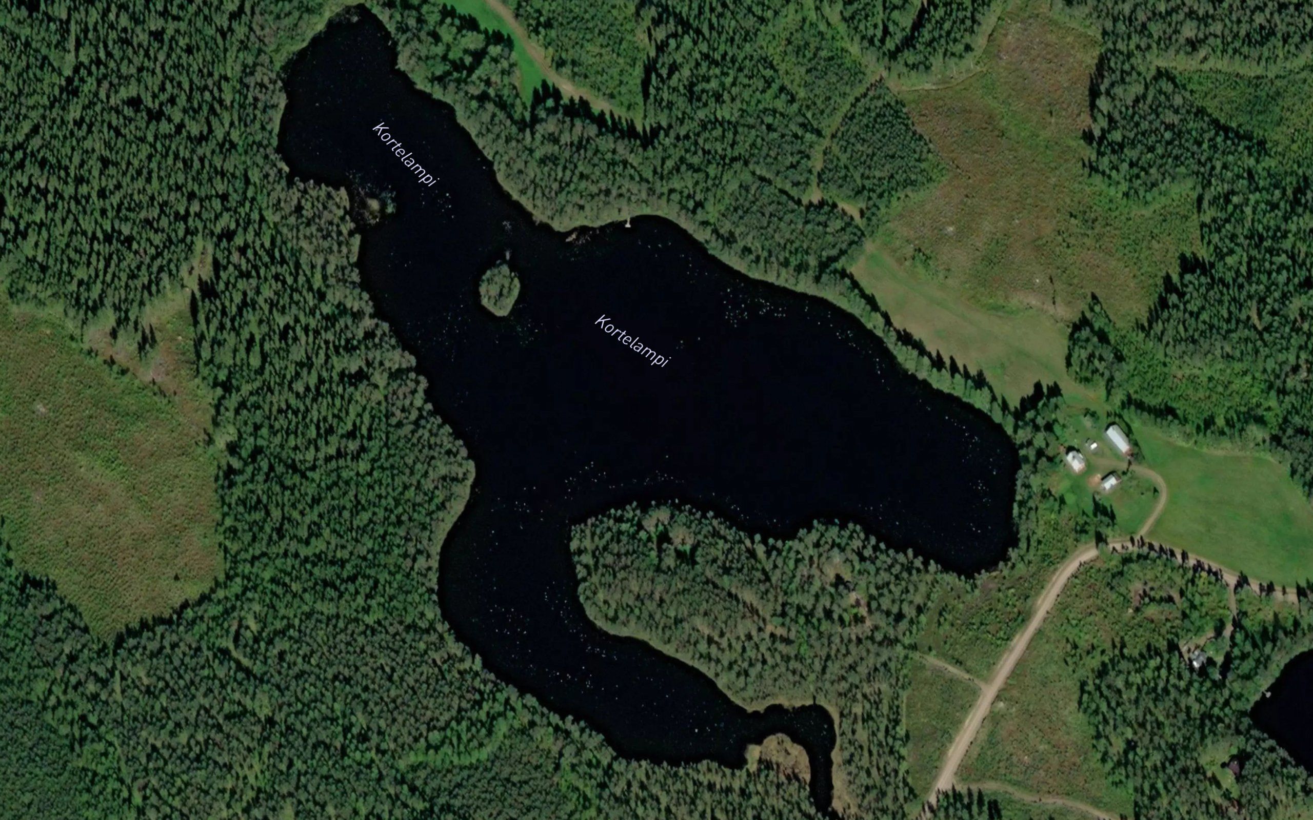 Kortelampi