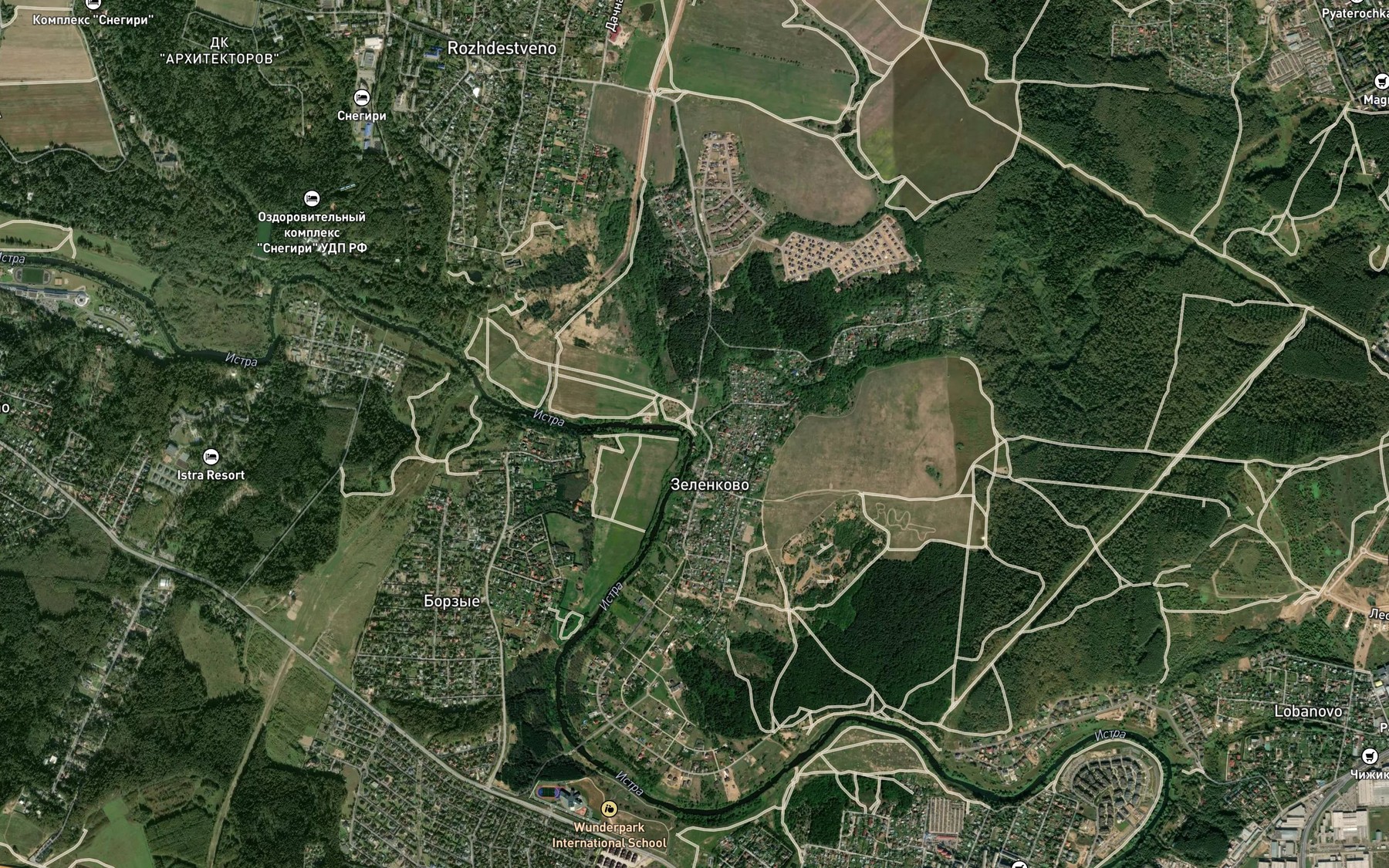 Satellite map of the Gryazeva
