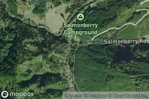 North Fork Salmonberry Creek