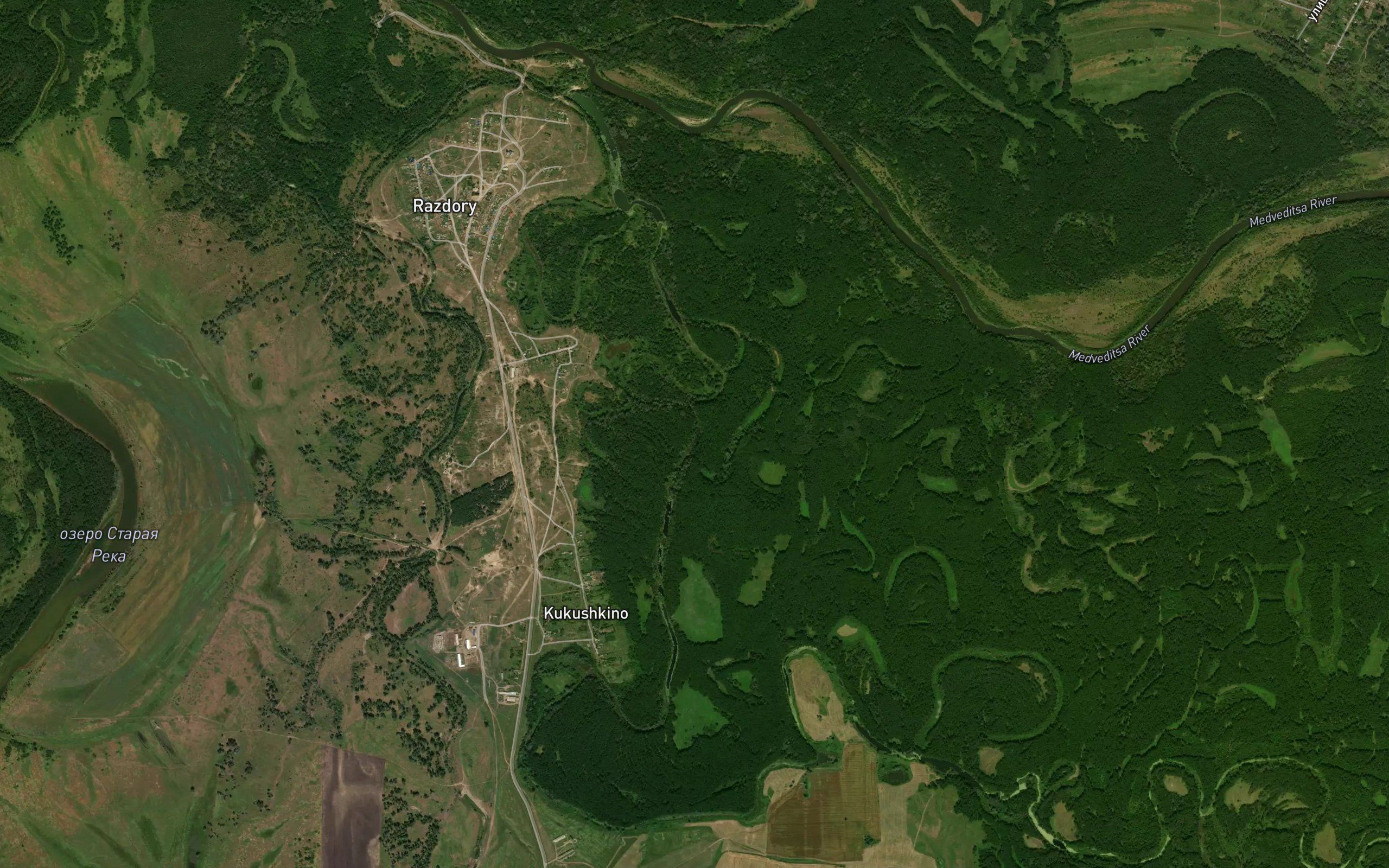 Lychak