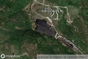 Griddalstjonn