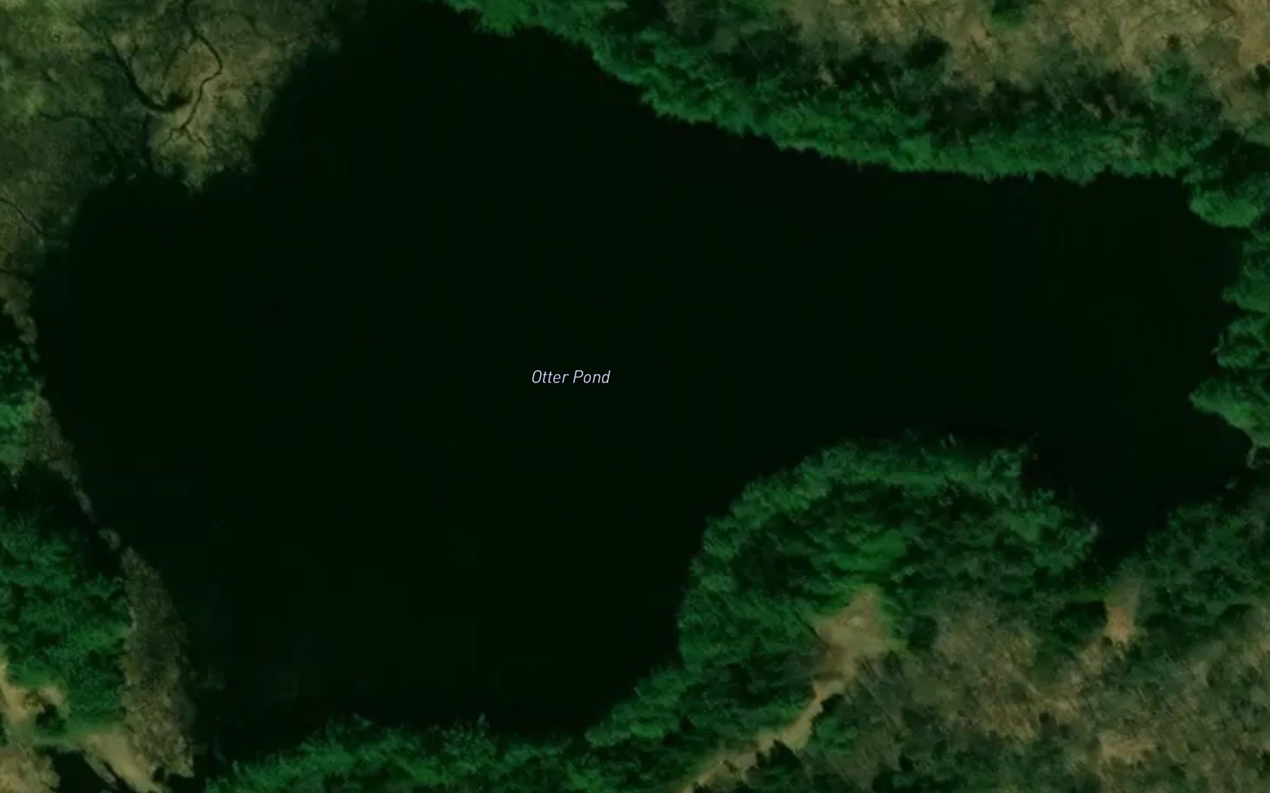 Otter Pond