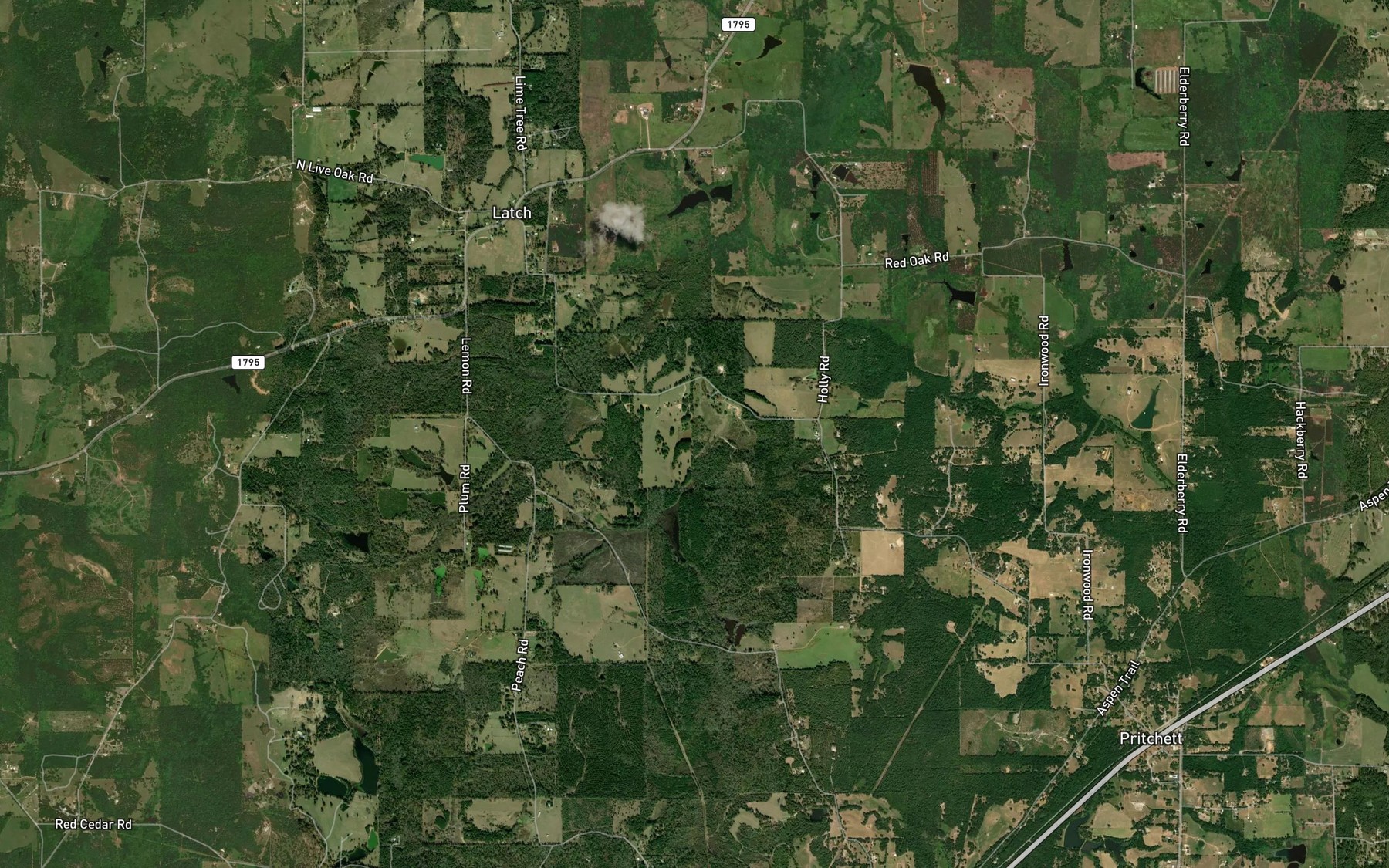 Satellite map of the Turkey Pond