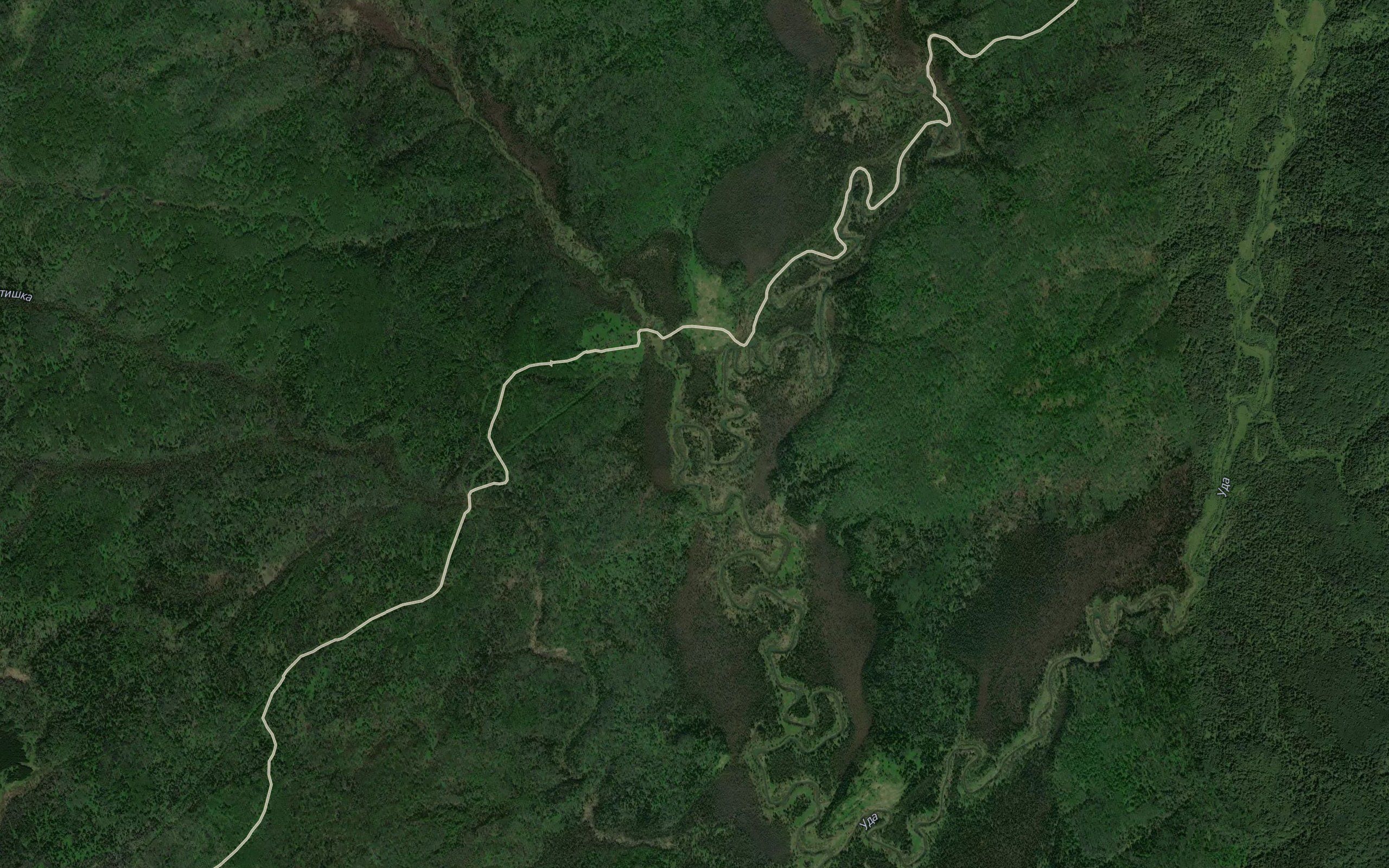 Togulenok