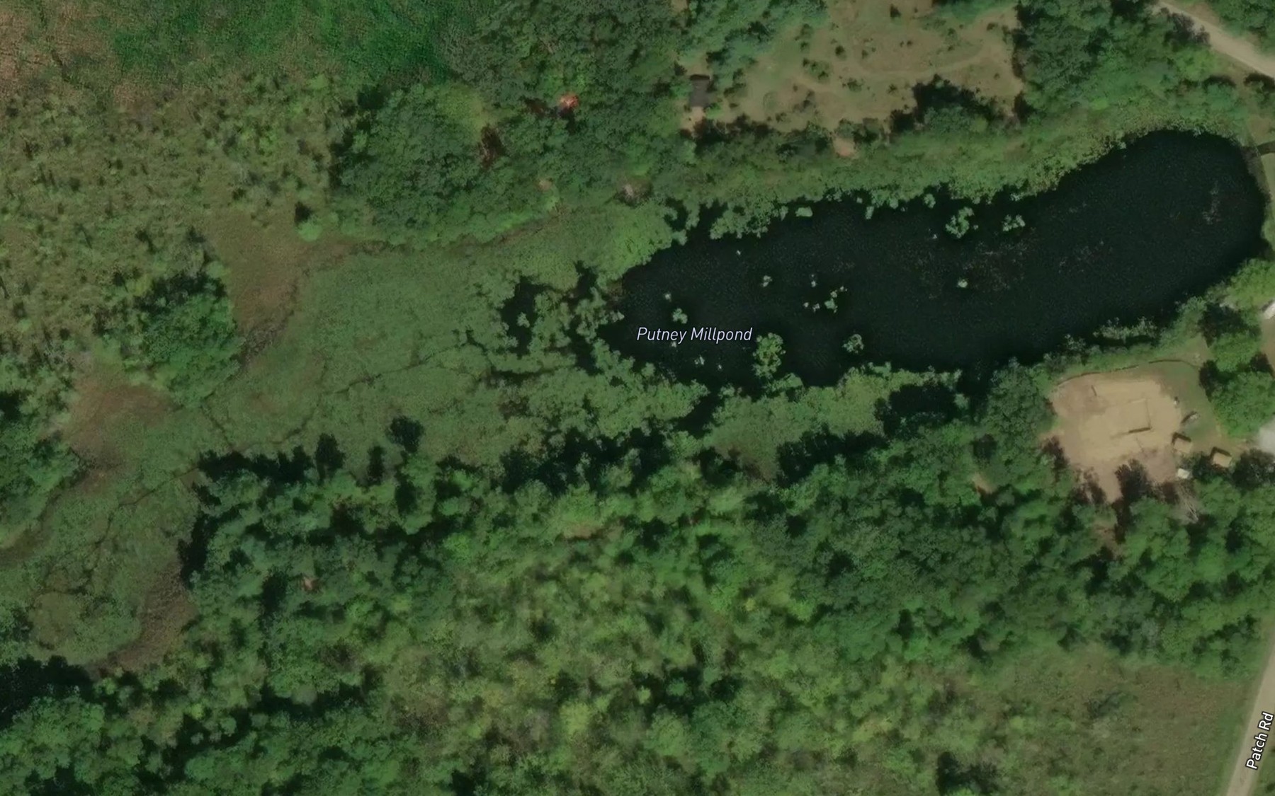 Satellite map of the Putney Millpond