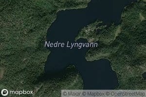 Lyngvatn