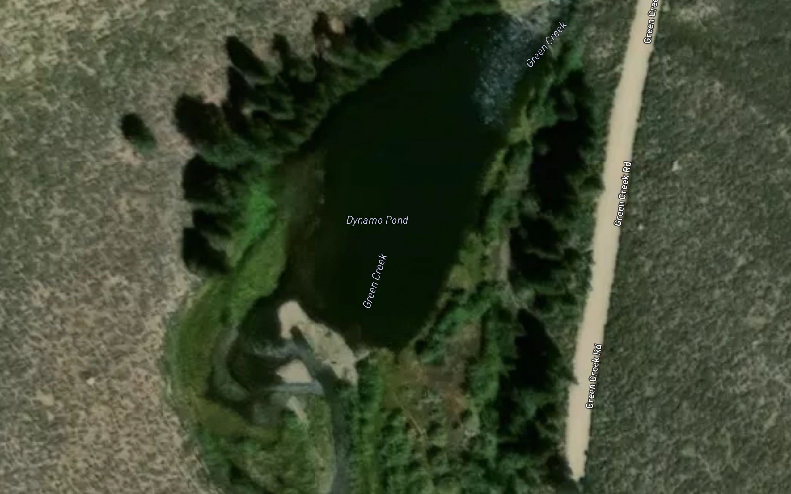 Dynamo Pond