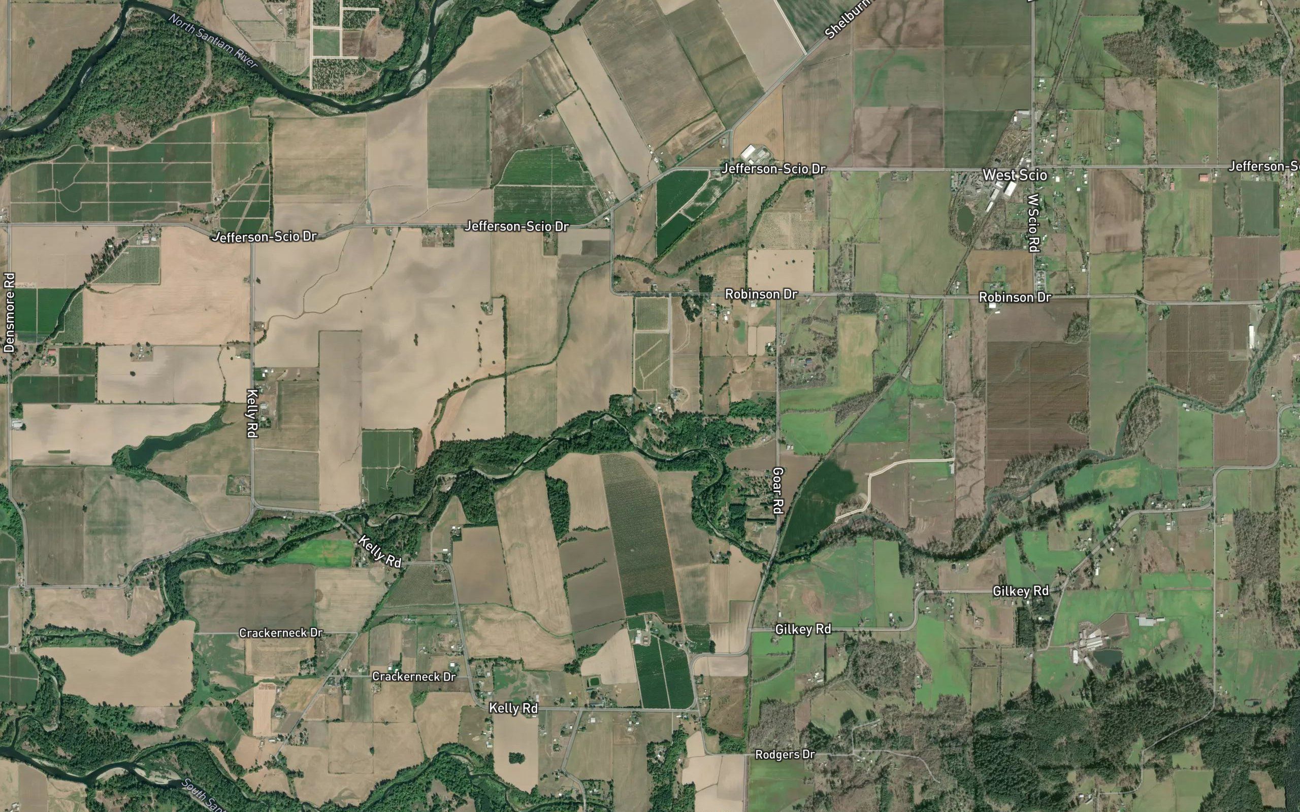 Novak Slough