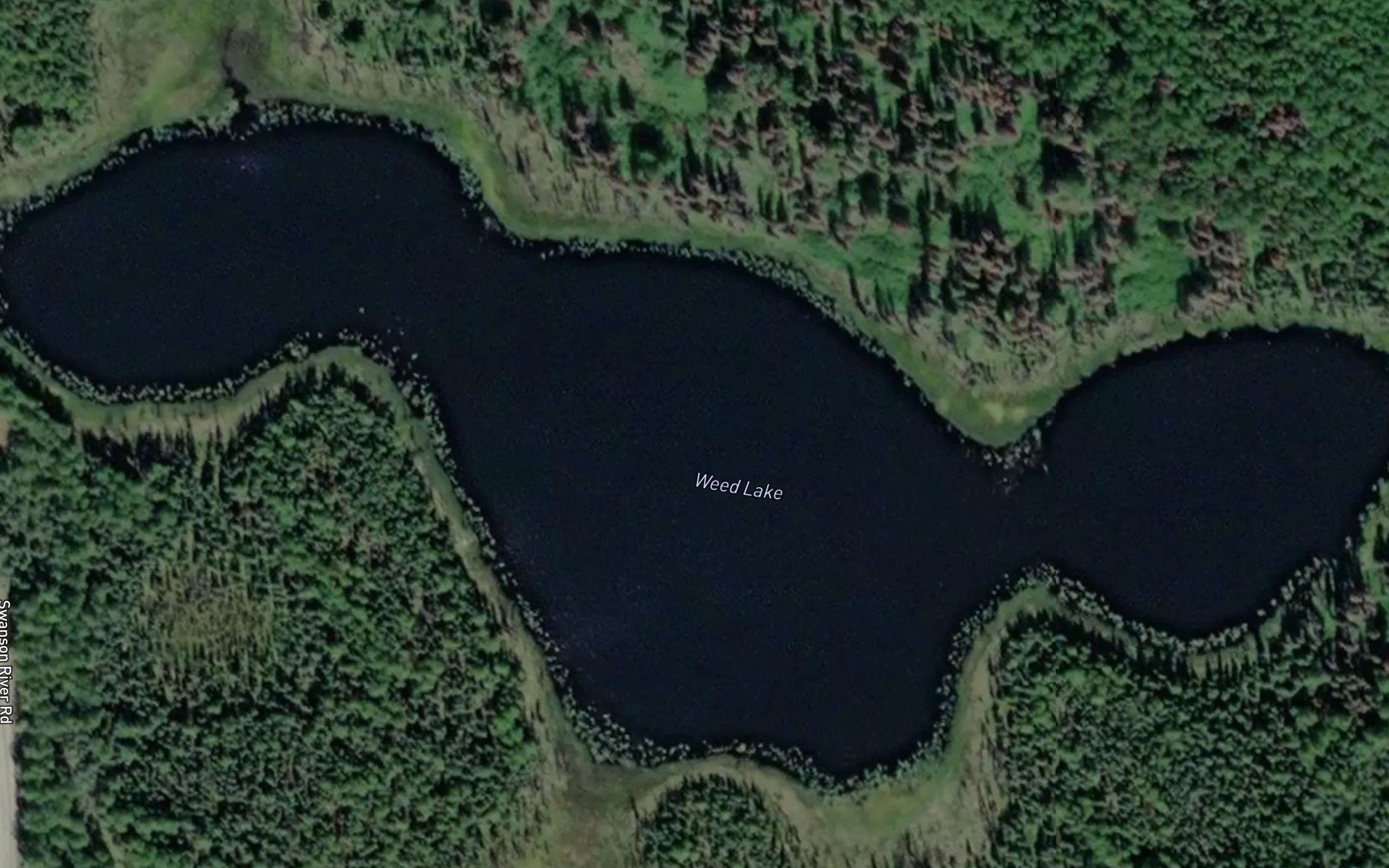 Weed Lake