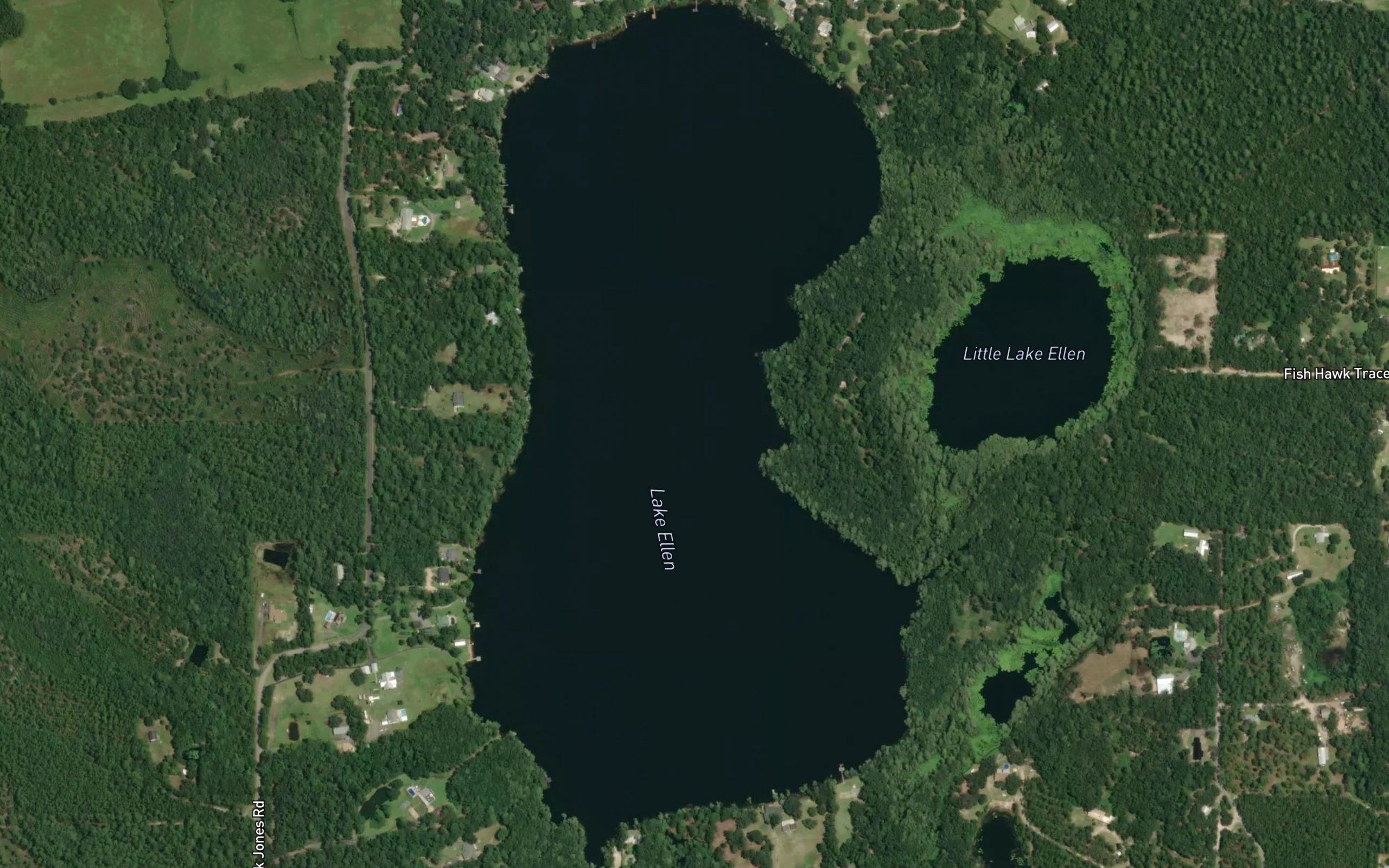 Lake Ellen