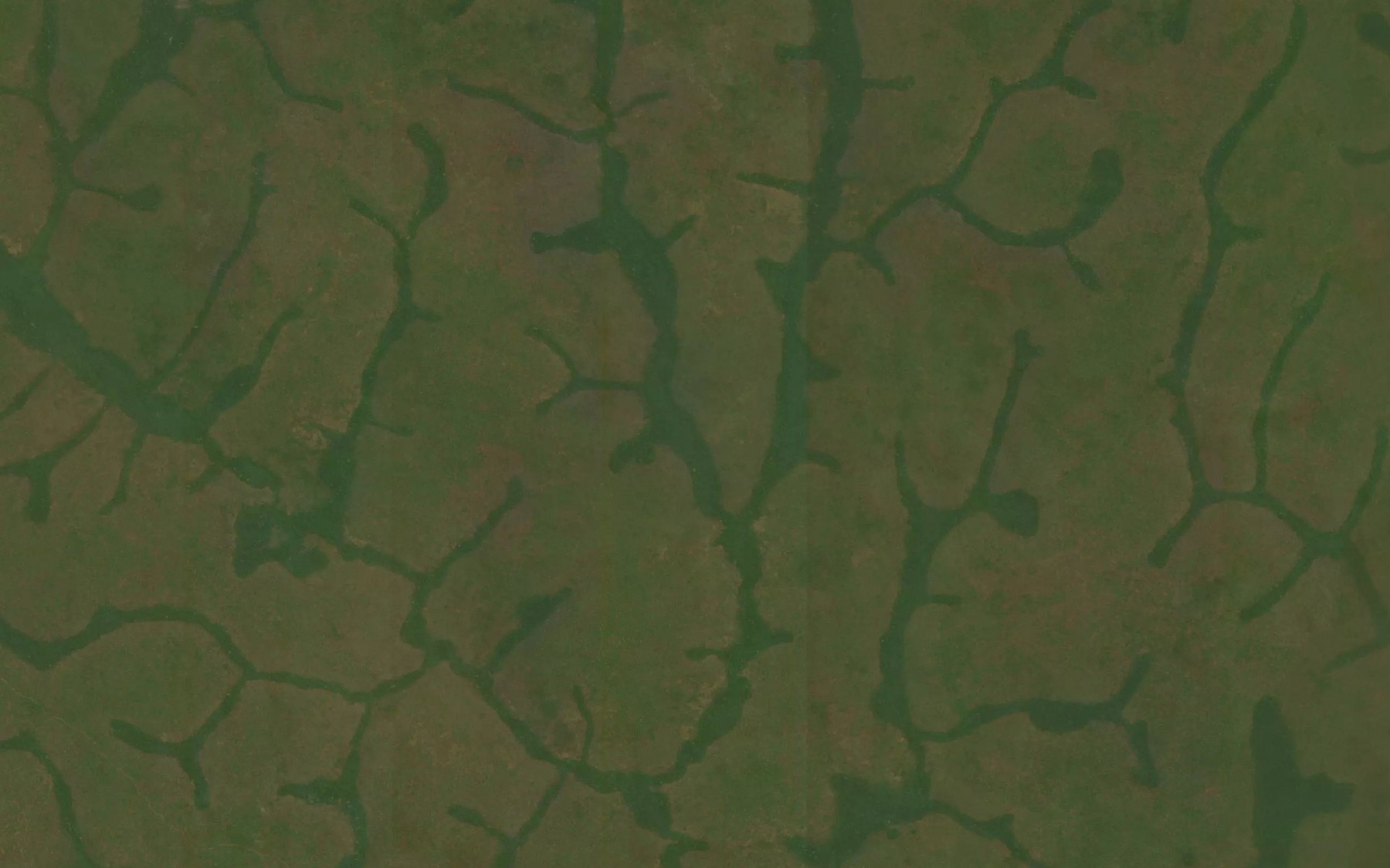 Satellite map of the Nguili
