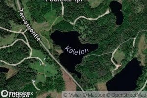 Kaleton