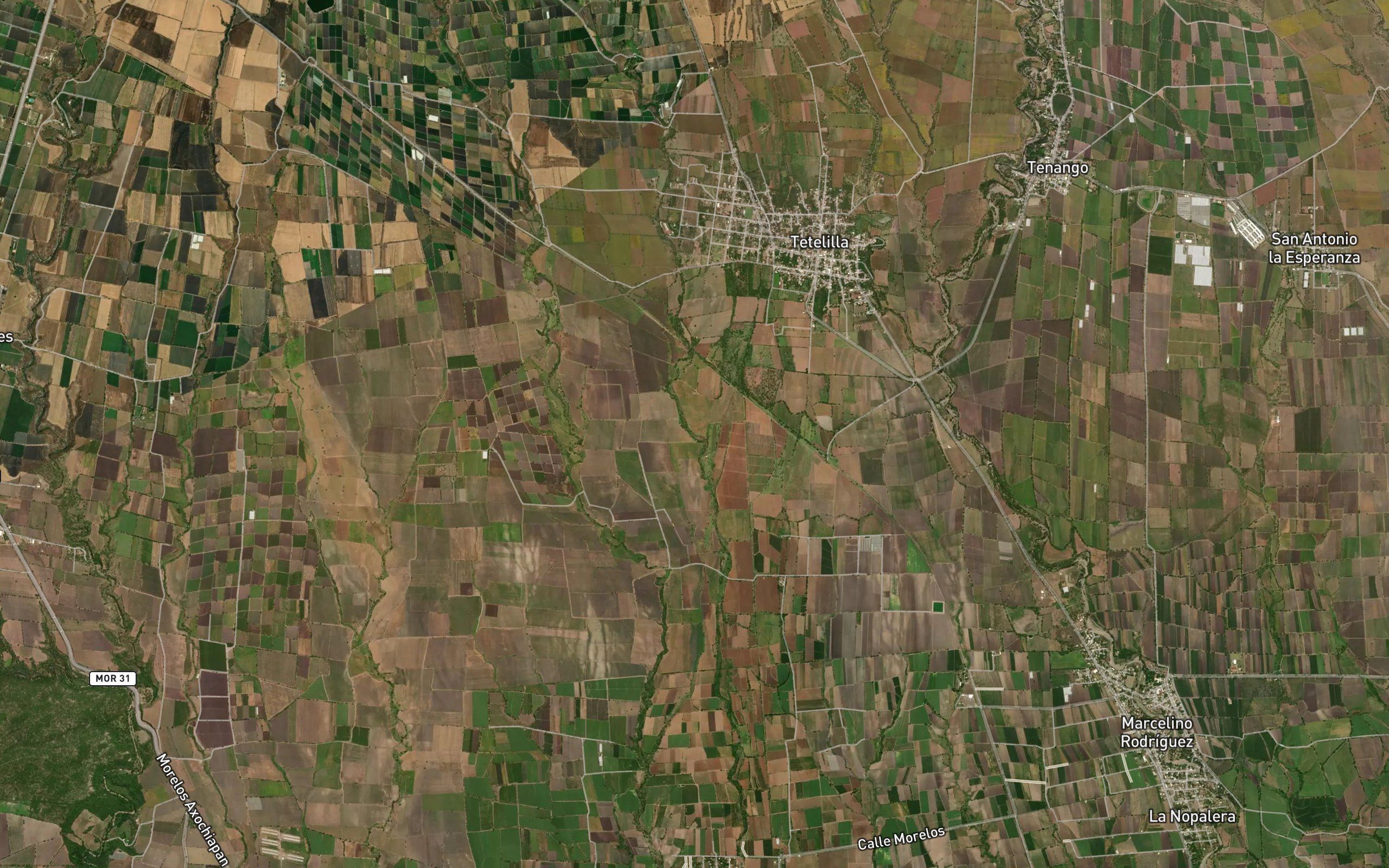 Barranca Seca