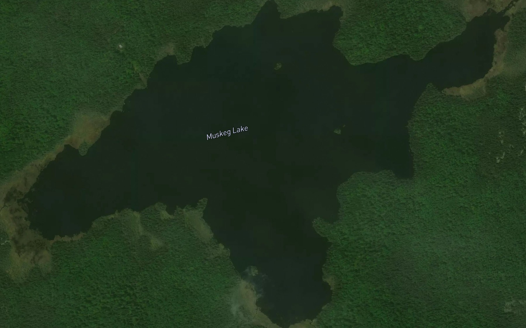 Satellite map of the Muskeg Lake