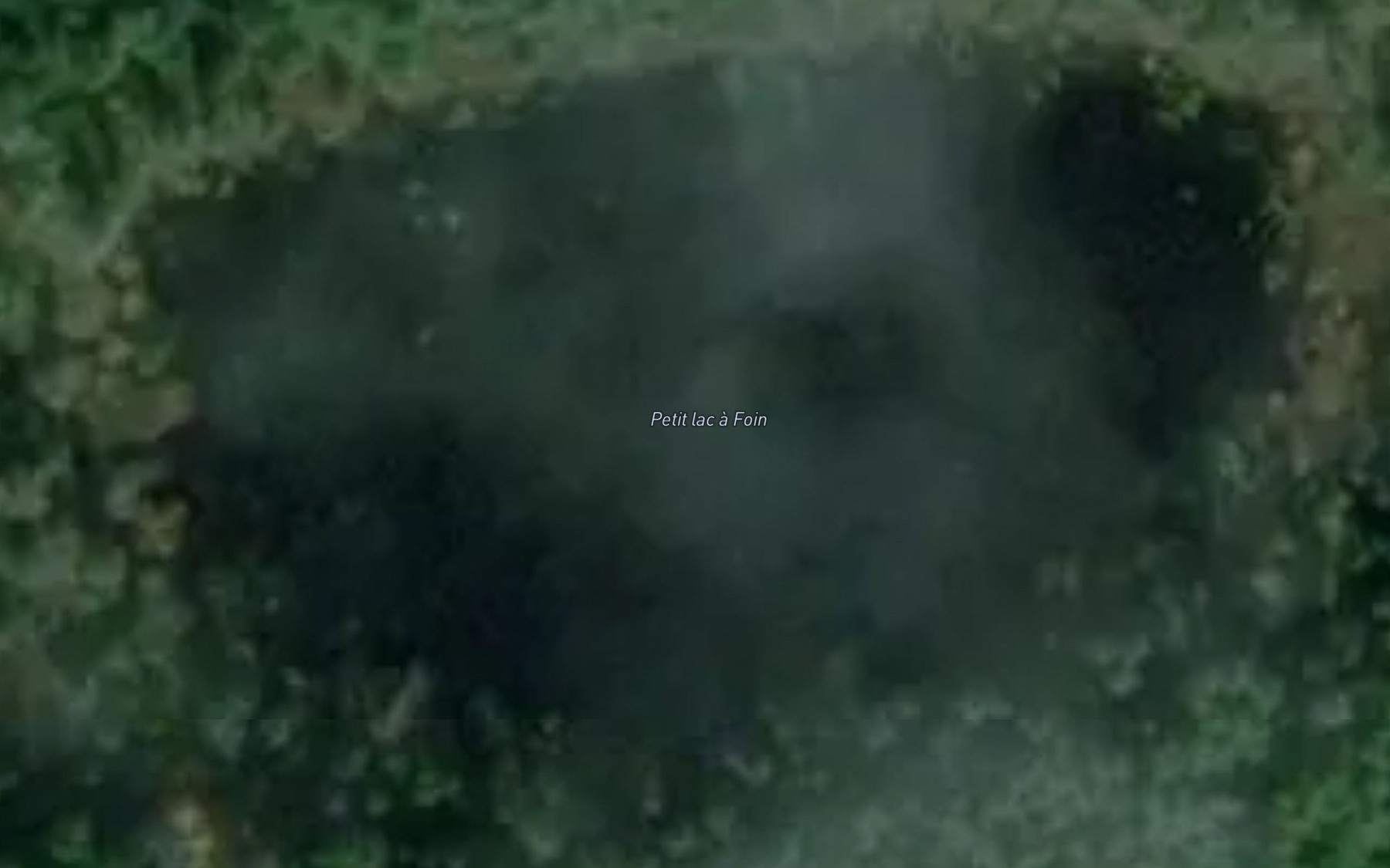 Satellite map of the Petit lac a Foin