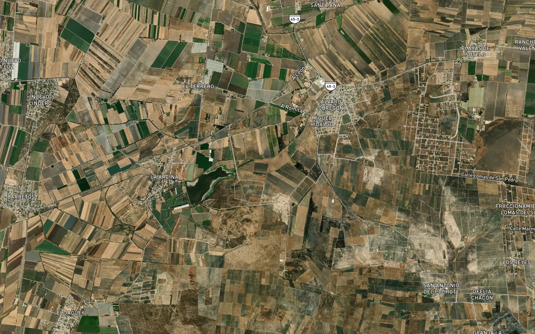 Satellite map of the Presa San Antonio